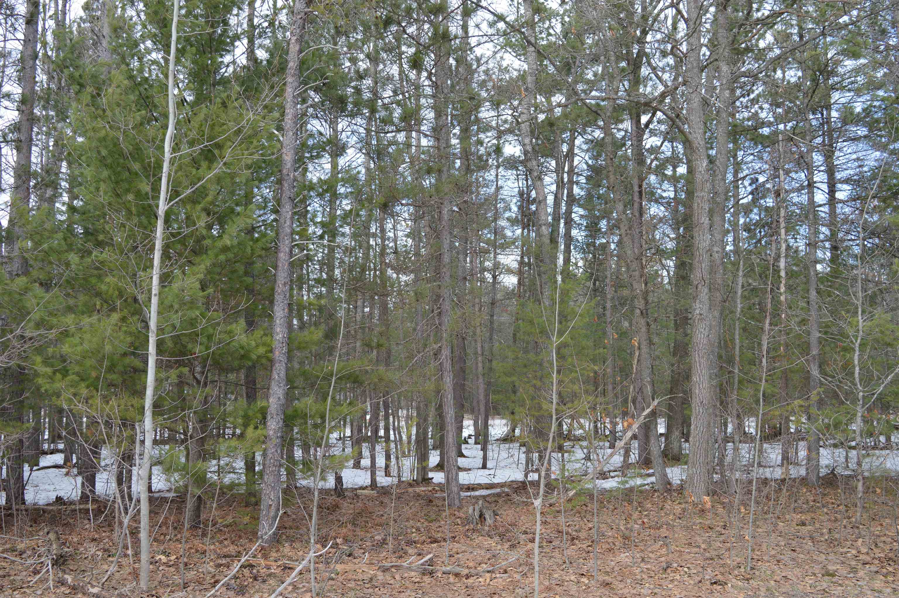 1971 Bunker Drive Kalkaska Township MI 49646