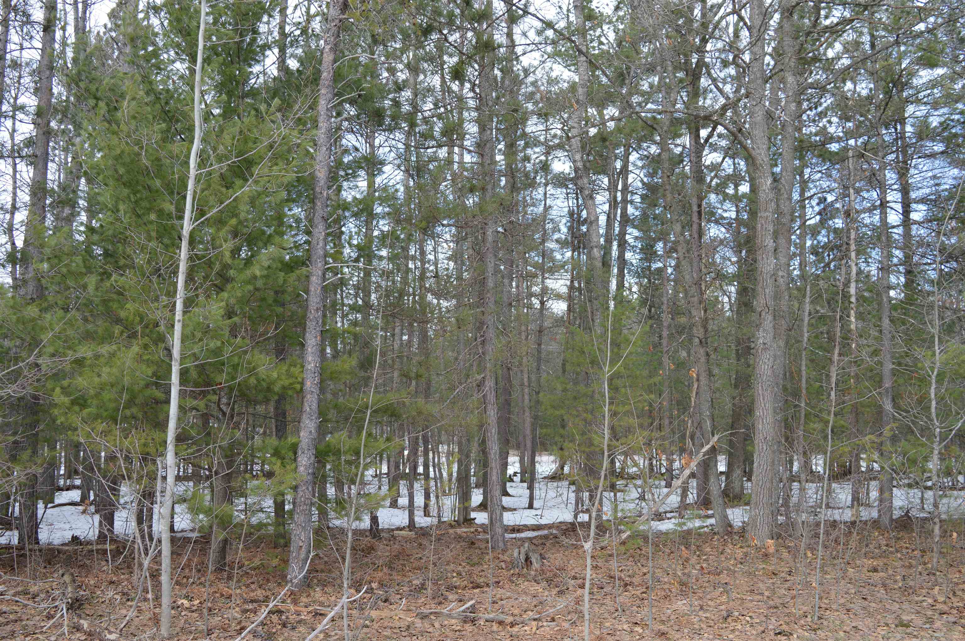 1971 Bunker Drive Kalkaska Township MI 49646