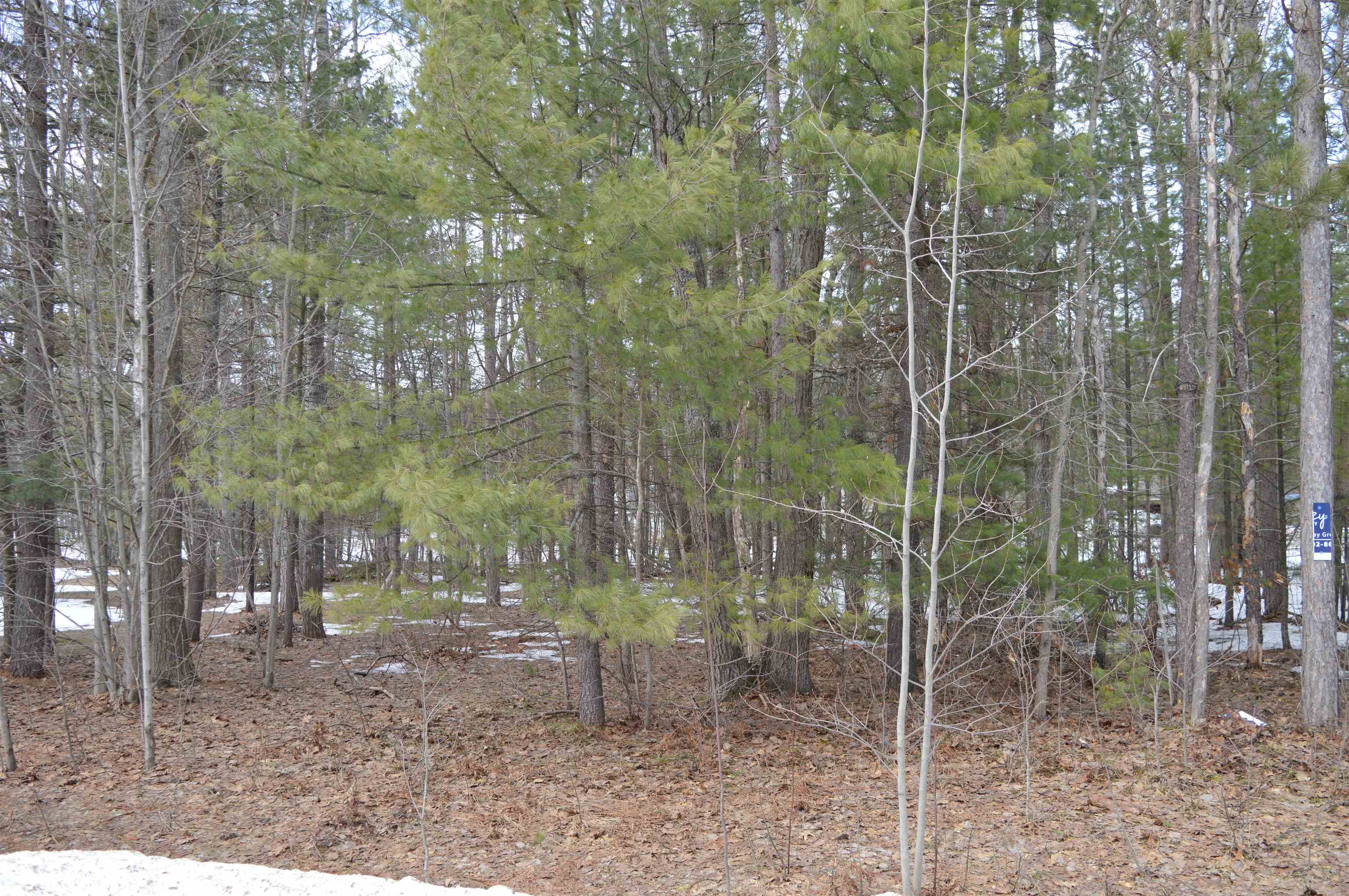 1971 Bunker Drive Kalkaska Township MI 49646