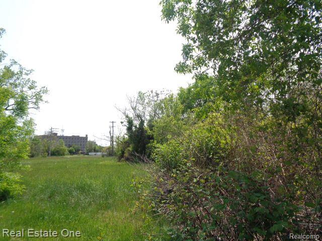 1051 Concord Street Detroit City MI 48207