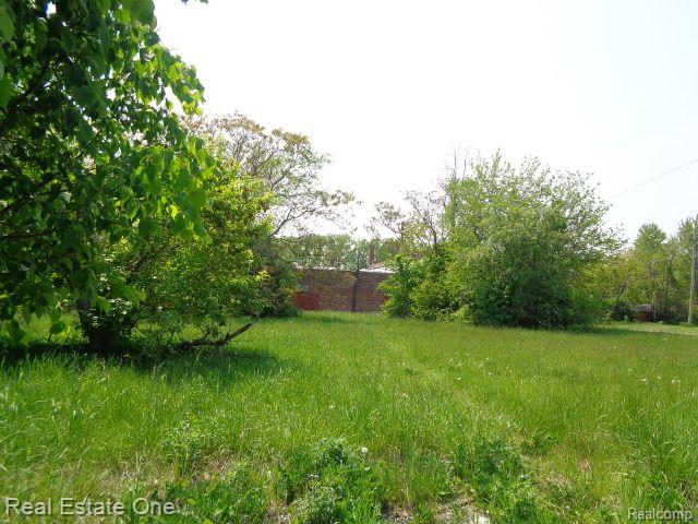 1051 Concord Street Detroit City MI 48207