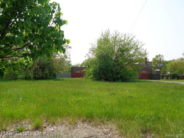 1051 Concord Street Detroit City MI 48207