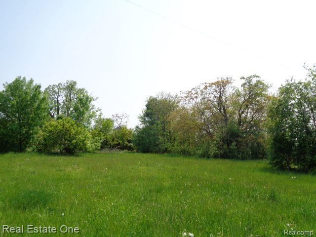 1051 Concord Street Detroit City MI 48207