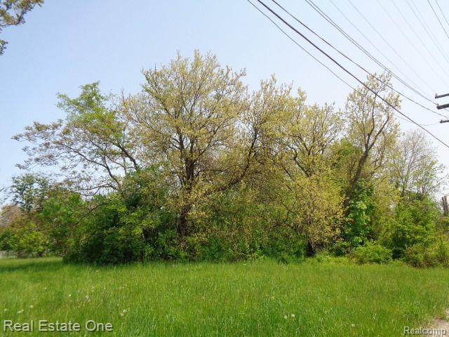 1051 Concord Street Detroit City MI 48207