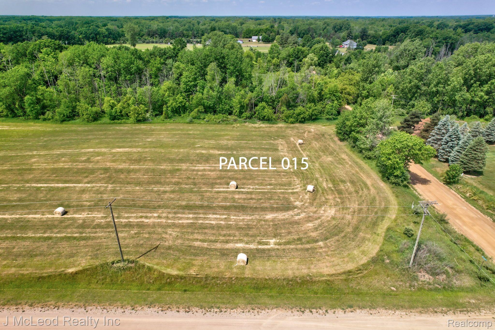 Parcel A Centennial Lane Forest Township MI 48746