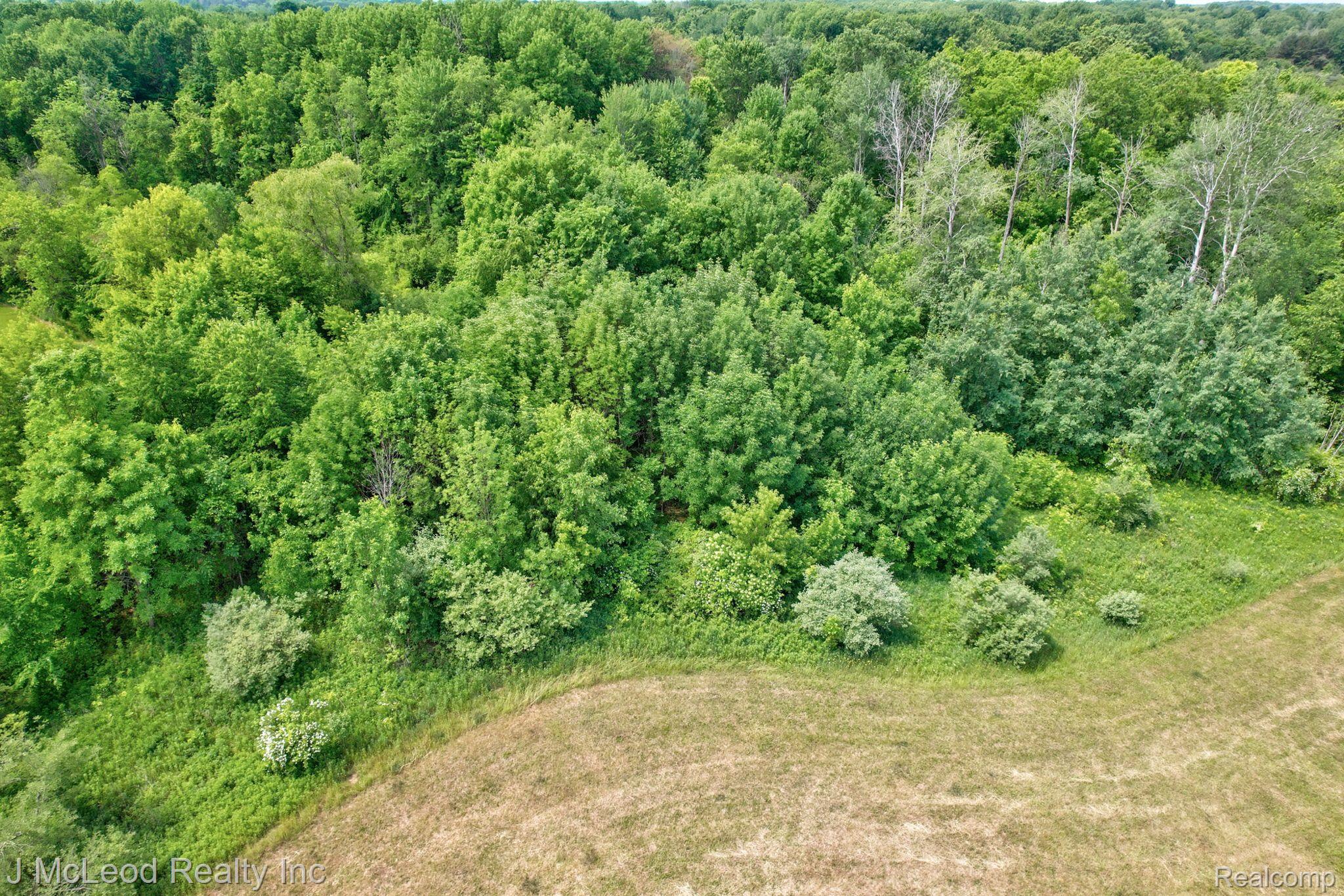 Parcel A Centennial Lane Forest Township MI 48746