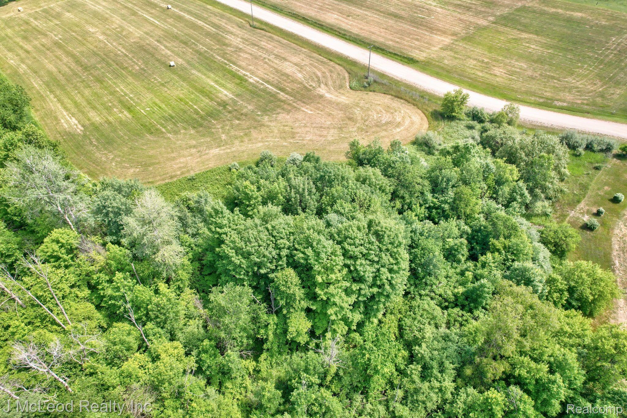 Parcel A Centennial Lane Forest Township MI 48746