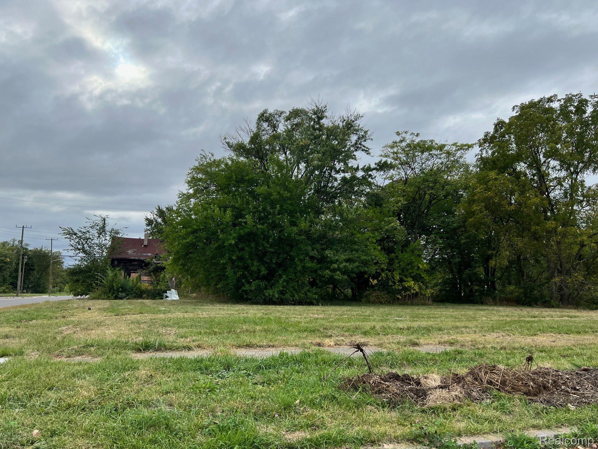 2018 Mcgraw Street Detroit City MI 48208