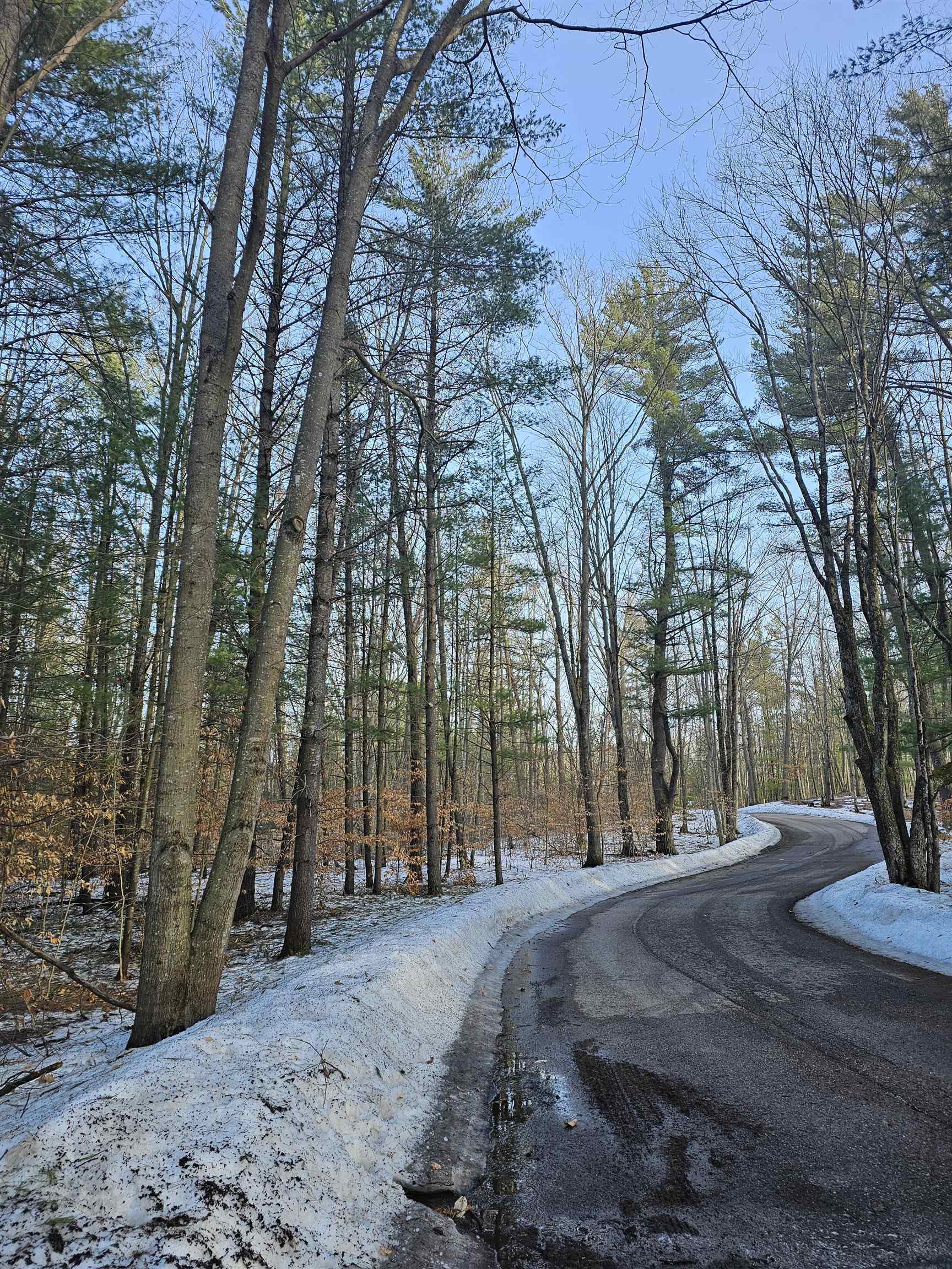 Lot 45 Woodwind Drive Haring Charter Township MI 49601