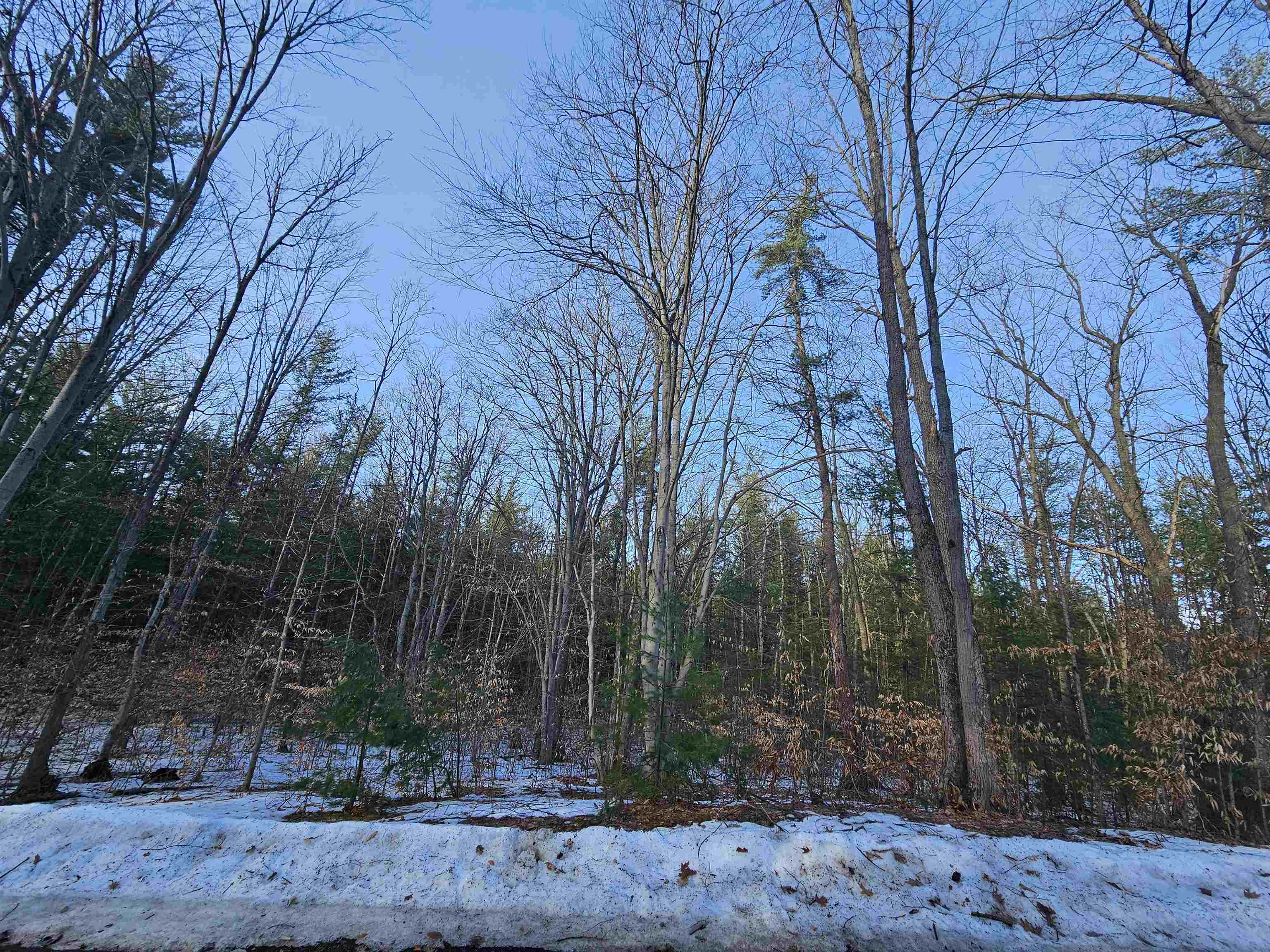 Lot 45 Woodwind Drive Haring Charter Township MI 49601