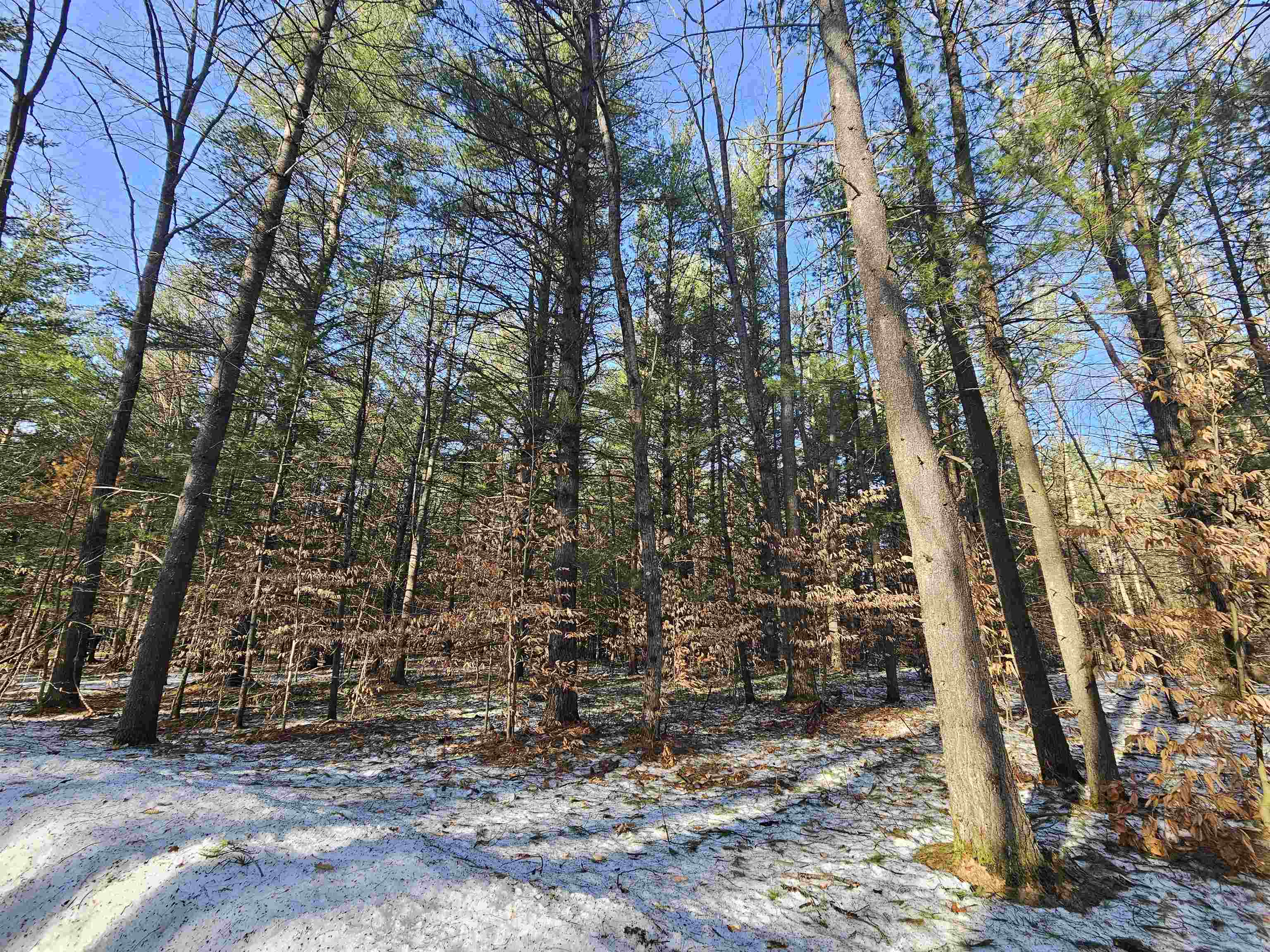 Lot 45 Woodwind Drive Haring Charter Township MI 49601