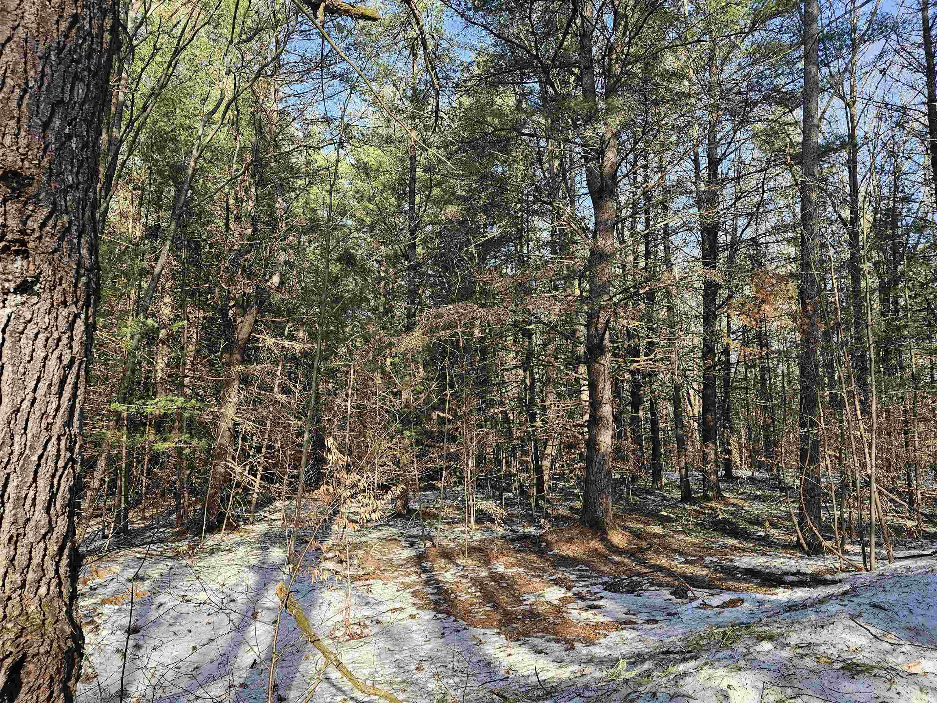Lot 45 Woodwind Drive Haring Charter Township MI 49601