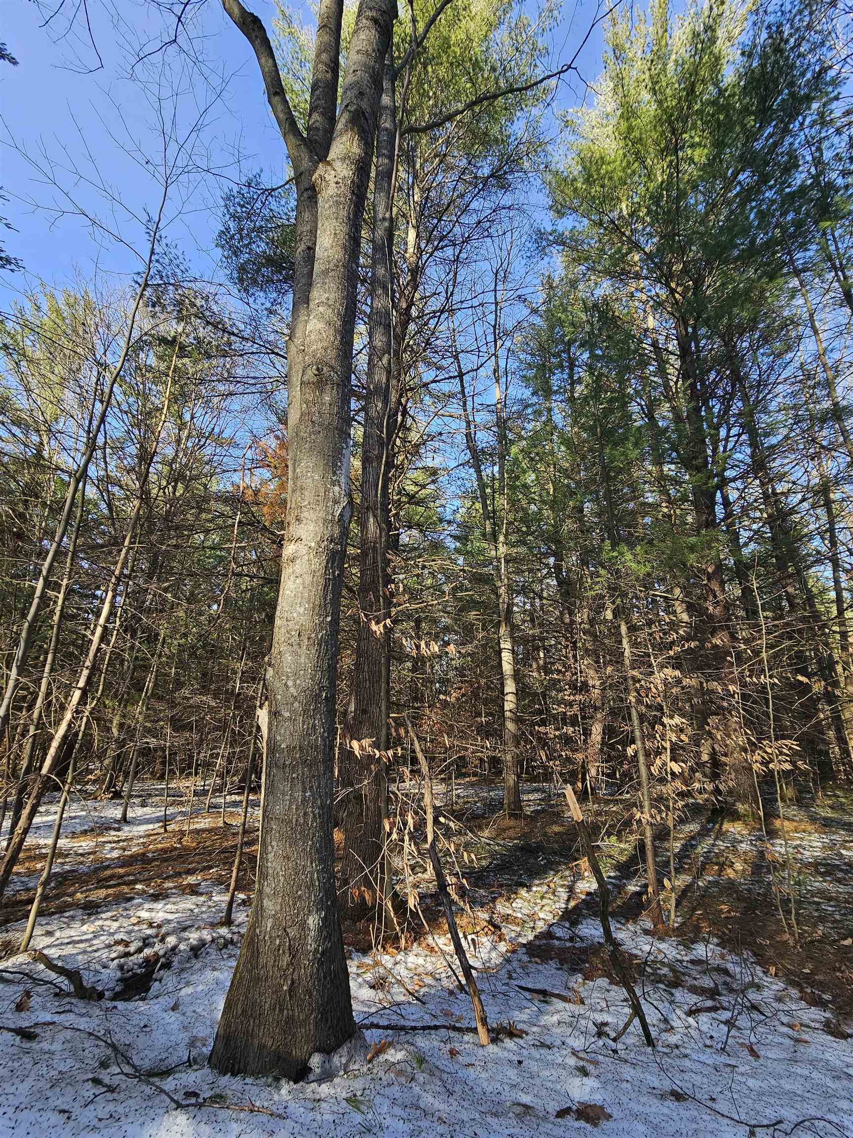 Lot 45 Woodwind Drive Haring Charter Township MI 49601
