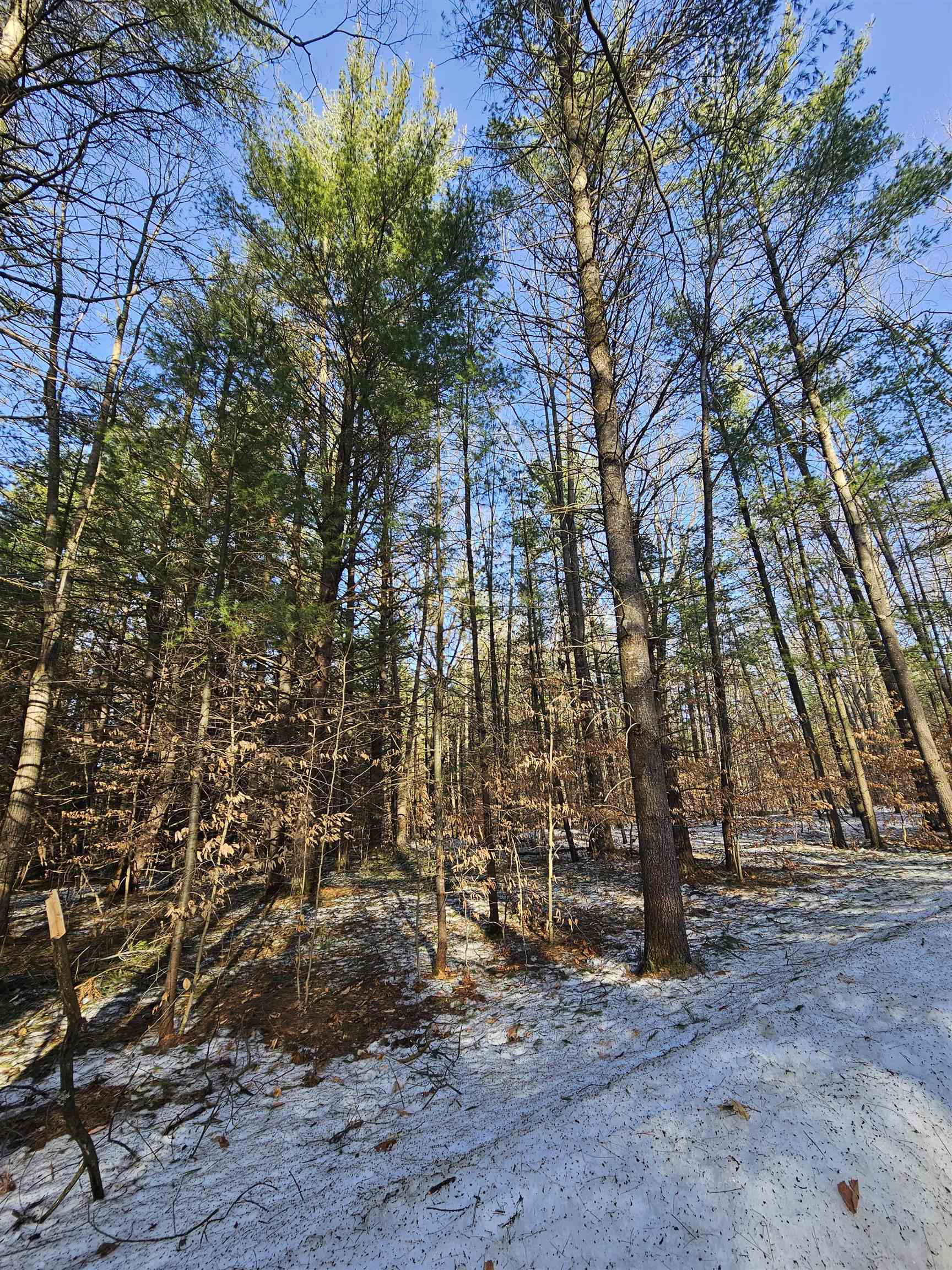 Lot 45 Woodwind Drive Haring Charter Township MI 49601