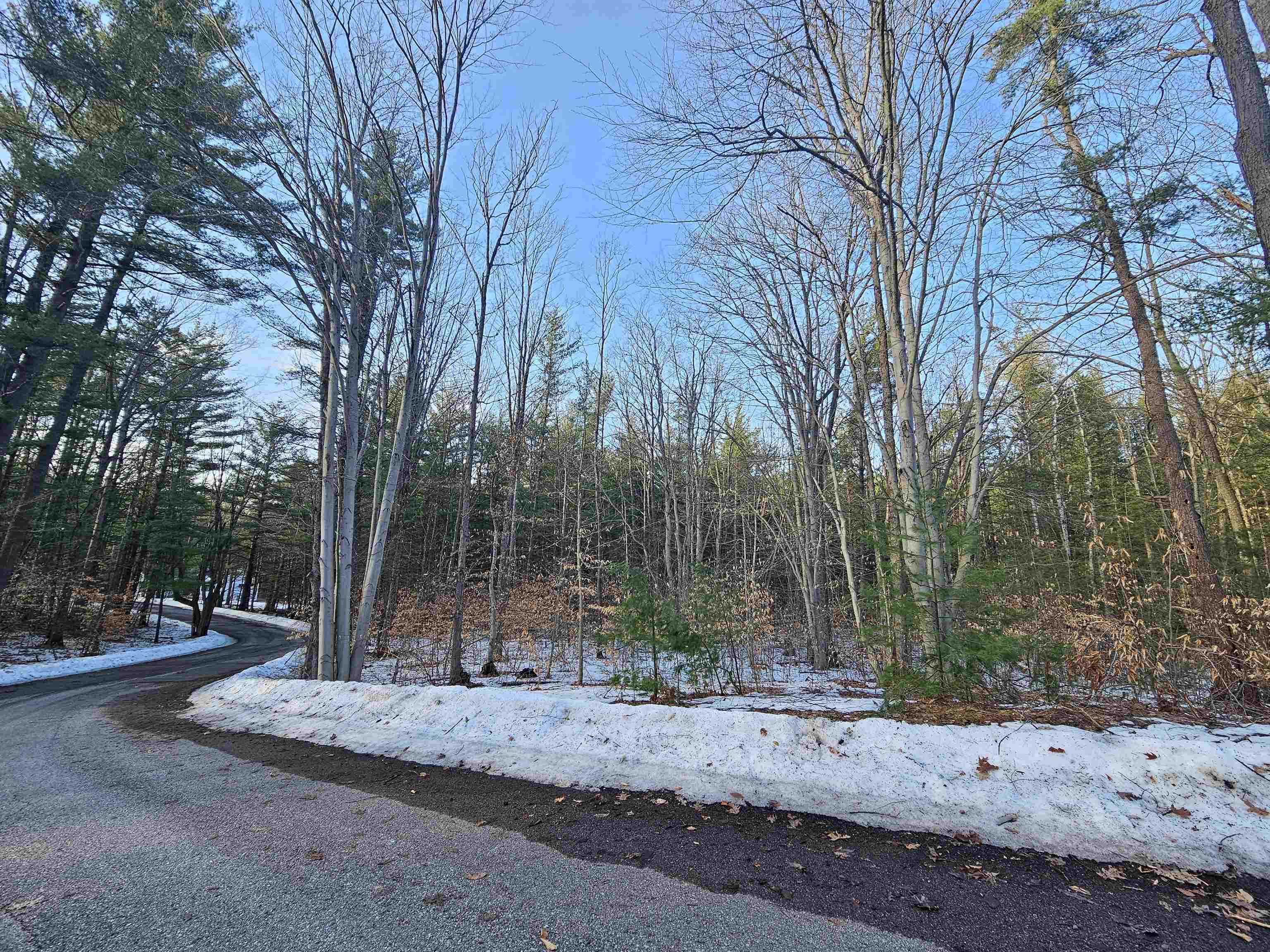 Lot 45 Woodwind Drive Haring Charter Township MI 49601