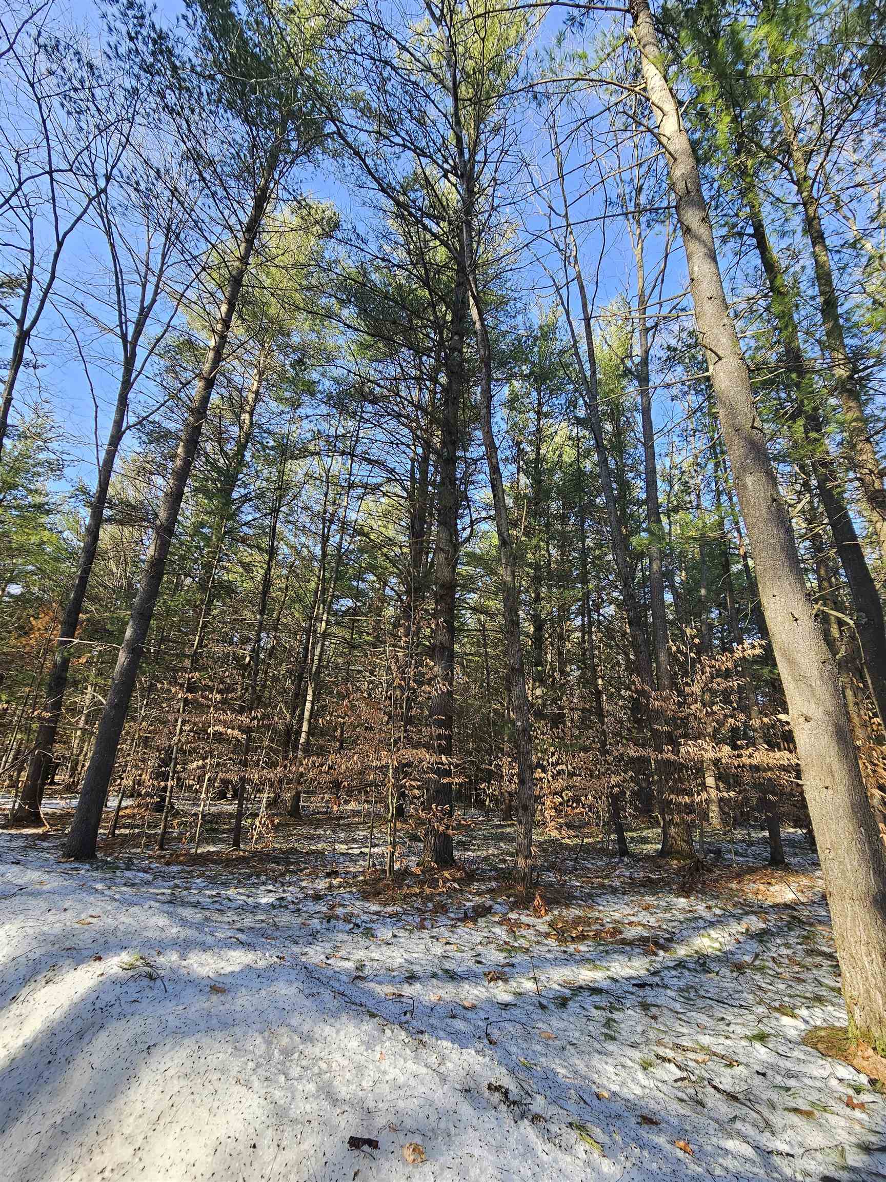 Lot 45 Woodwind Drive Haring Charter Township MI 49601