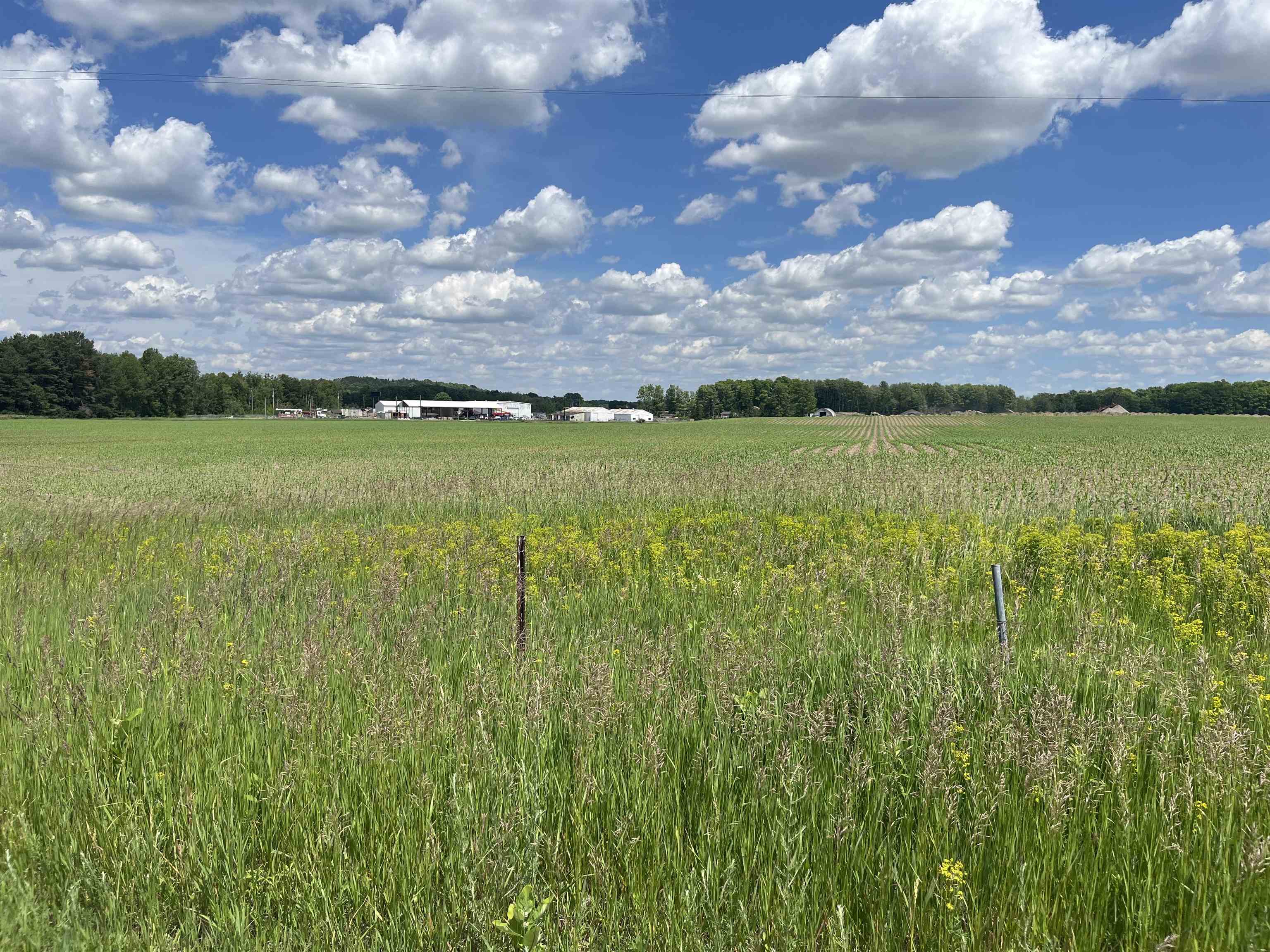 9512 S Mackinaw Trail Clam Lake Township MI 49601