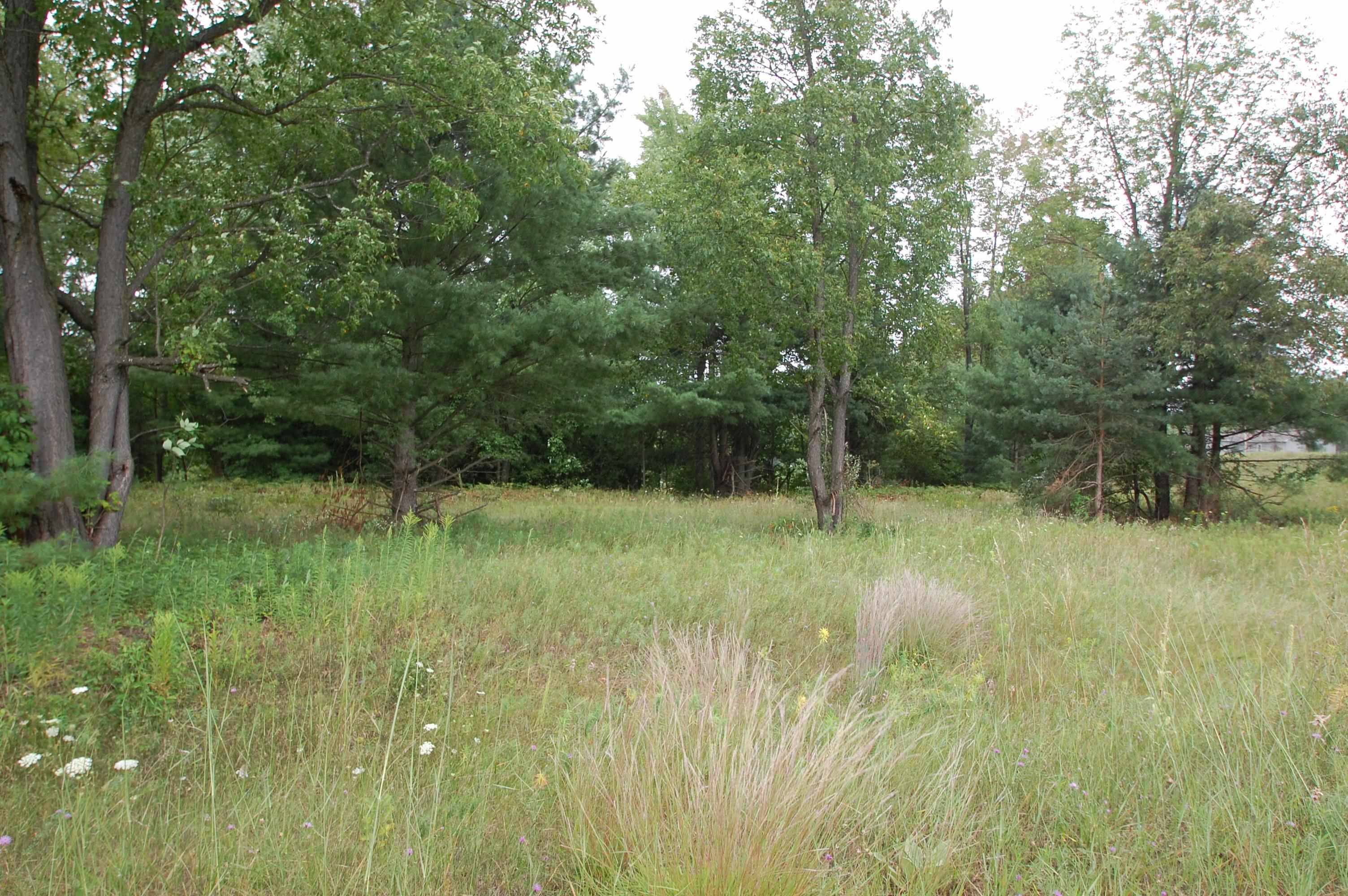 0 Jonathan Court West Branch Township MI 48661