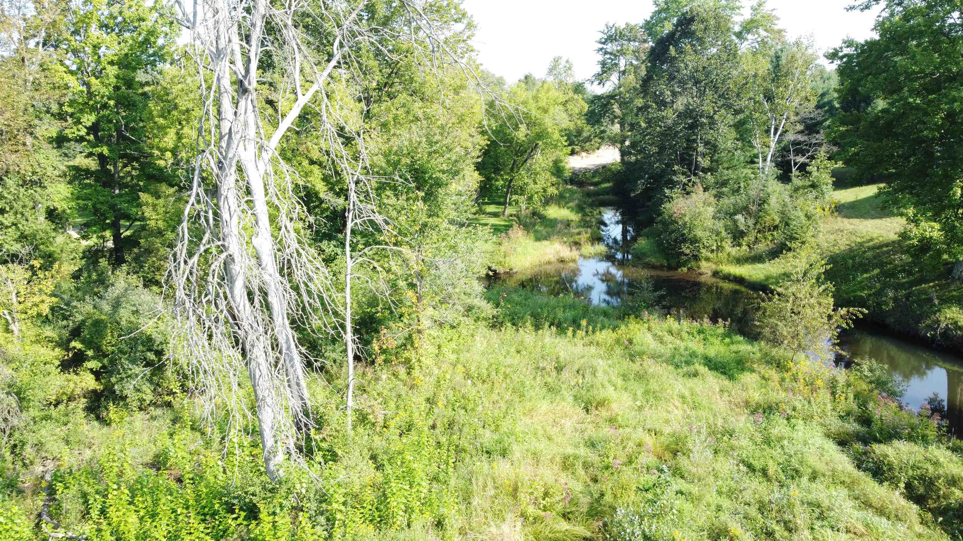 0 Jonathan Court West Branch Township MI 48661