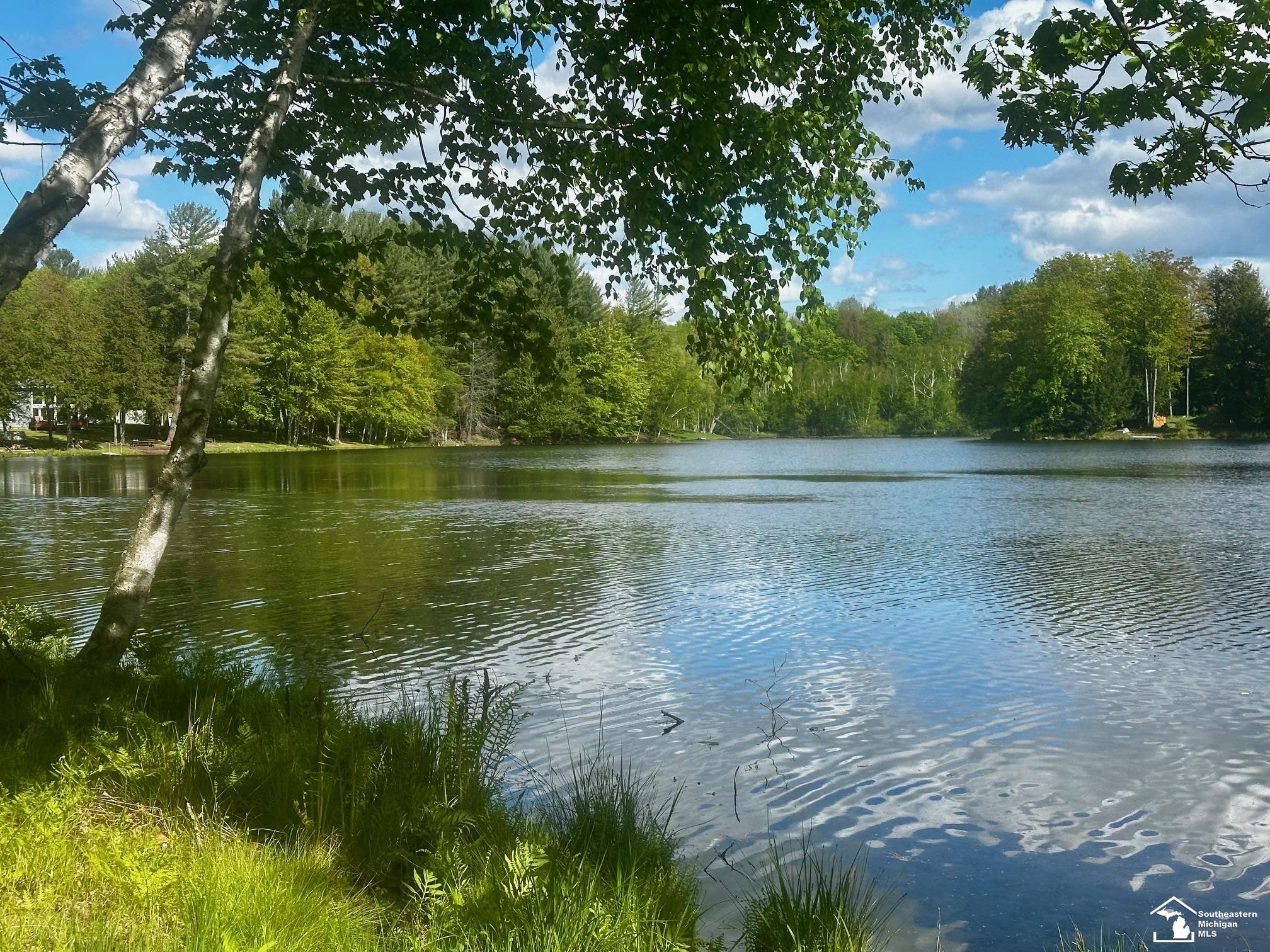 9835 Miramichi Drive Evart Township MI 49631
