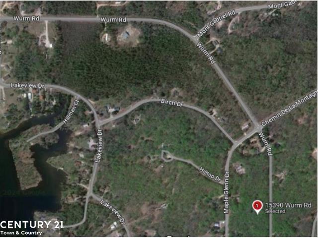 15390 Wurm Road Drive Nunda Township MI 49799