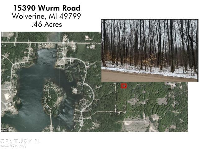 15390 Wurm Road Drive Nunda Township MI 49799