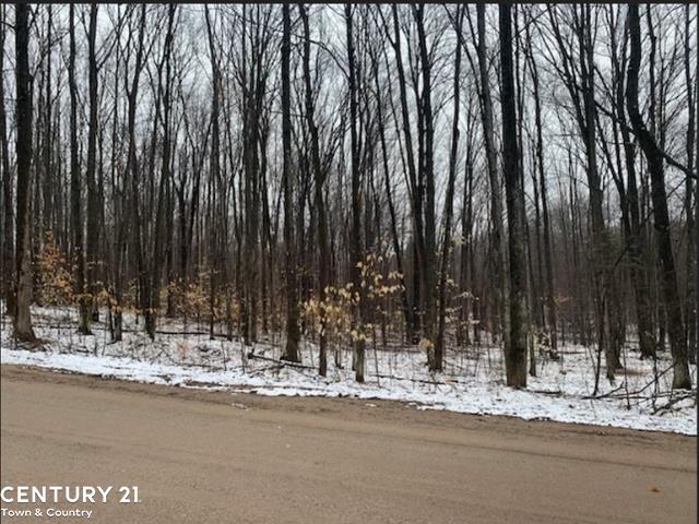 15390 Wurm Road Drive Nunda Township MI 49799