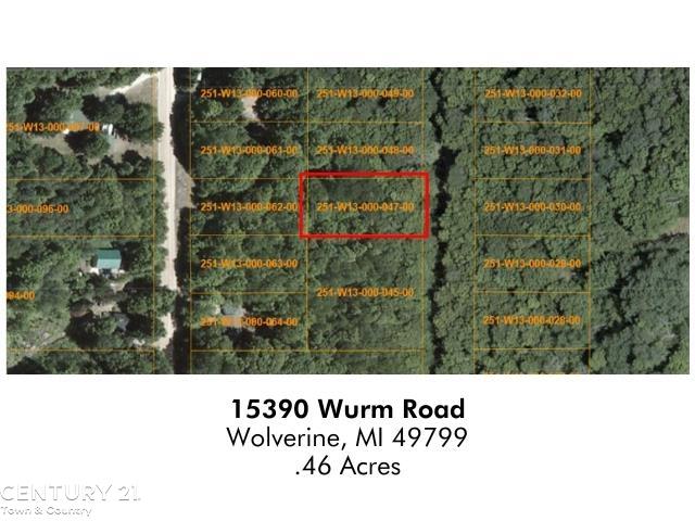15390 Wurm Road Drive Nunda Township MI 49799