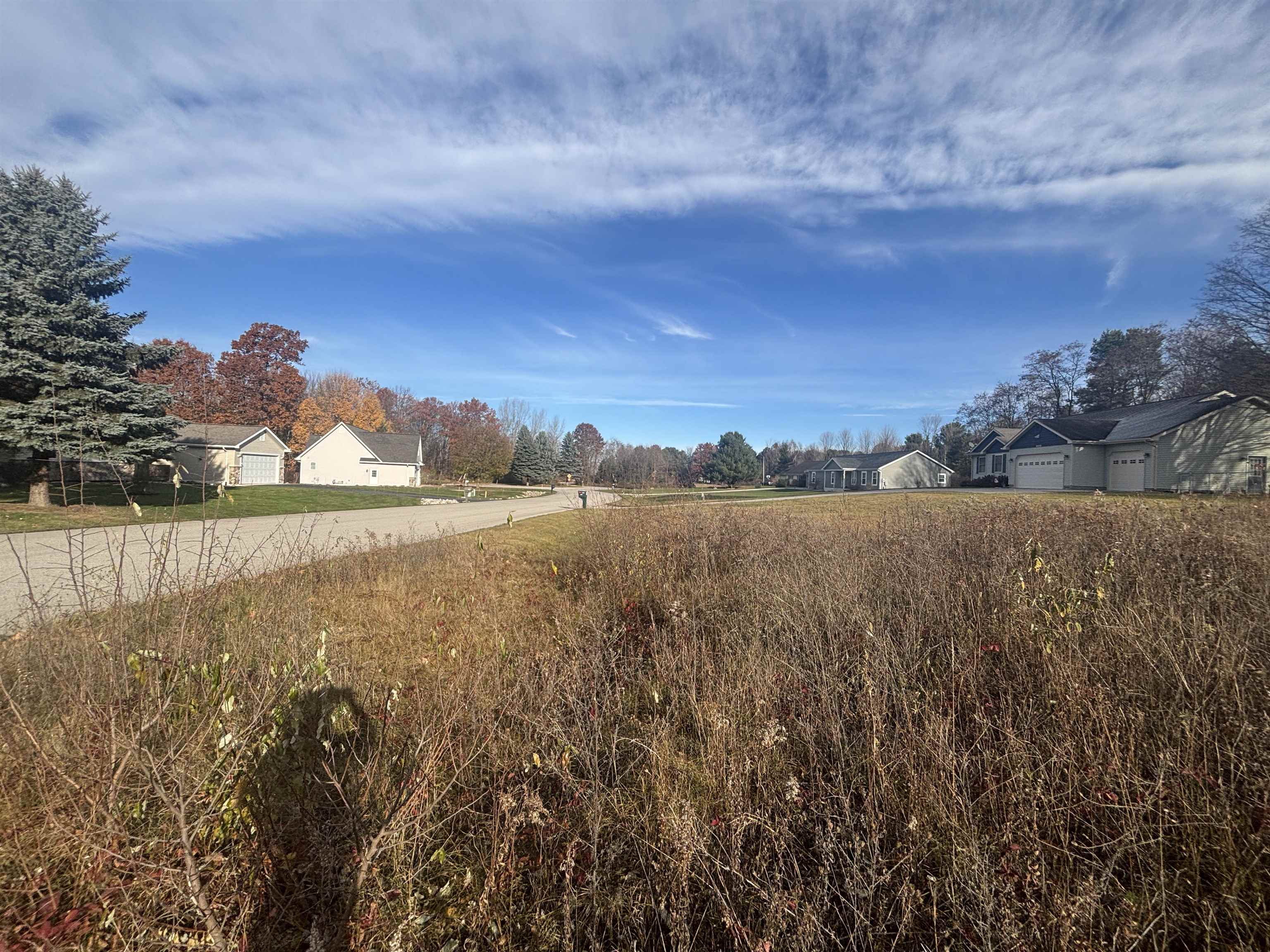 8641 Sun Bay Court Acme Township MI 49690