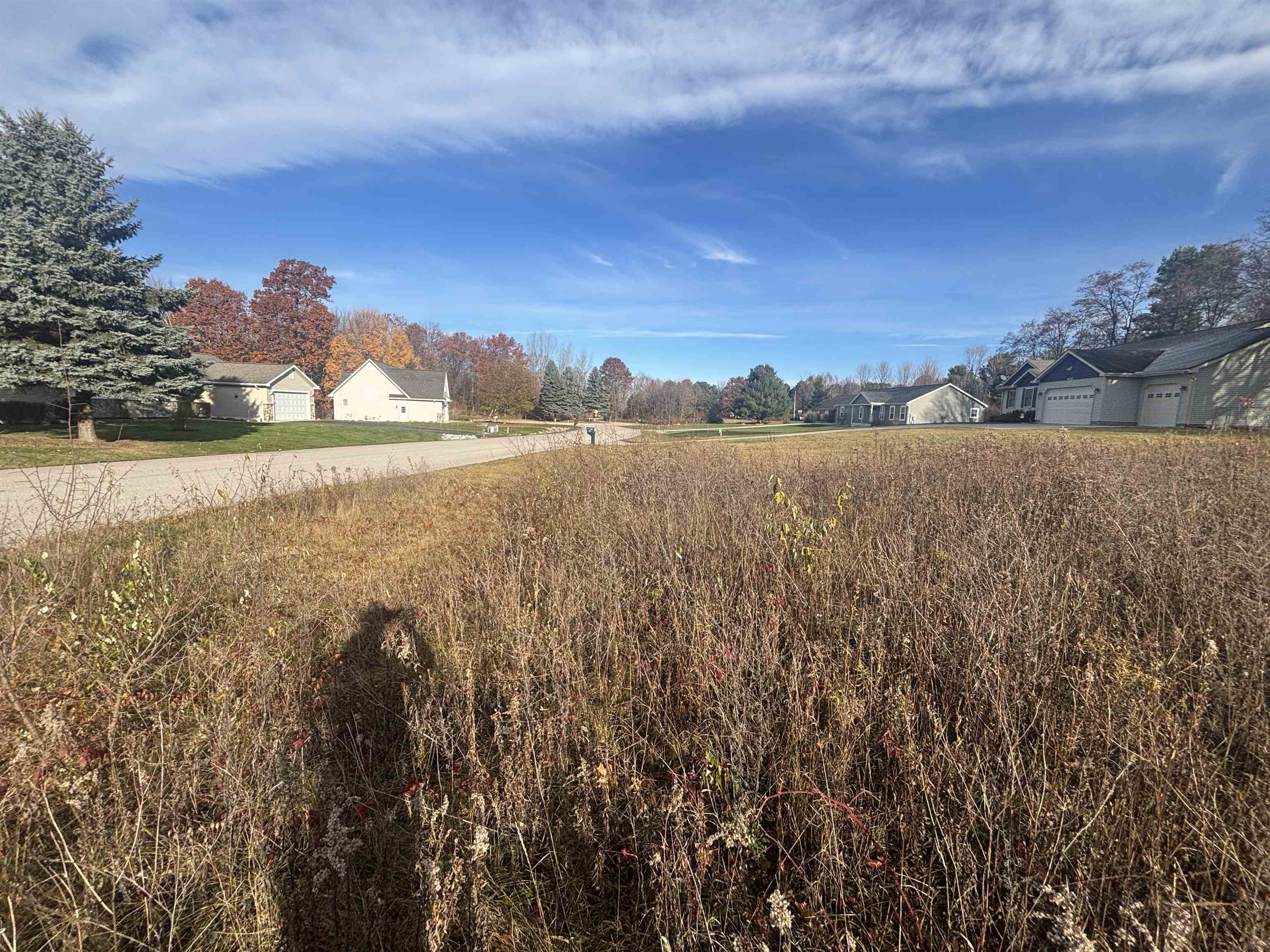 8641 Sun Bay Court Acme Township MI 49690