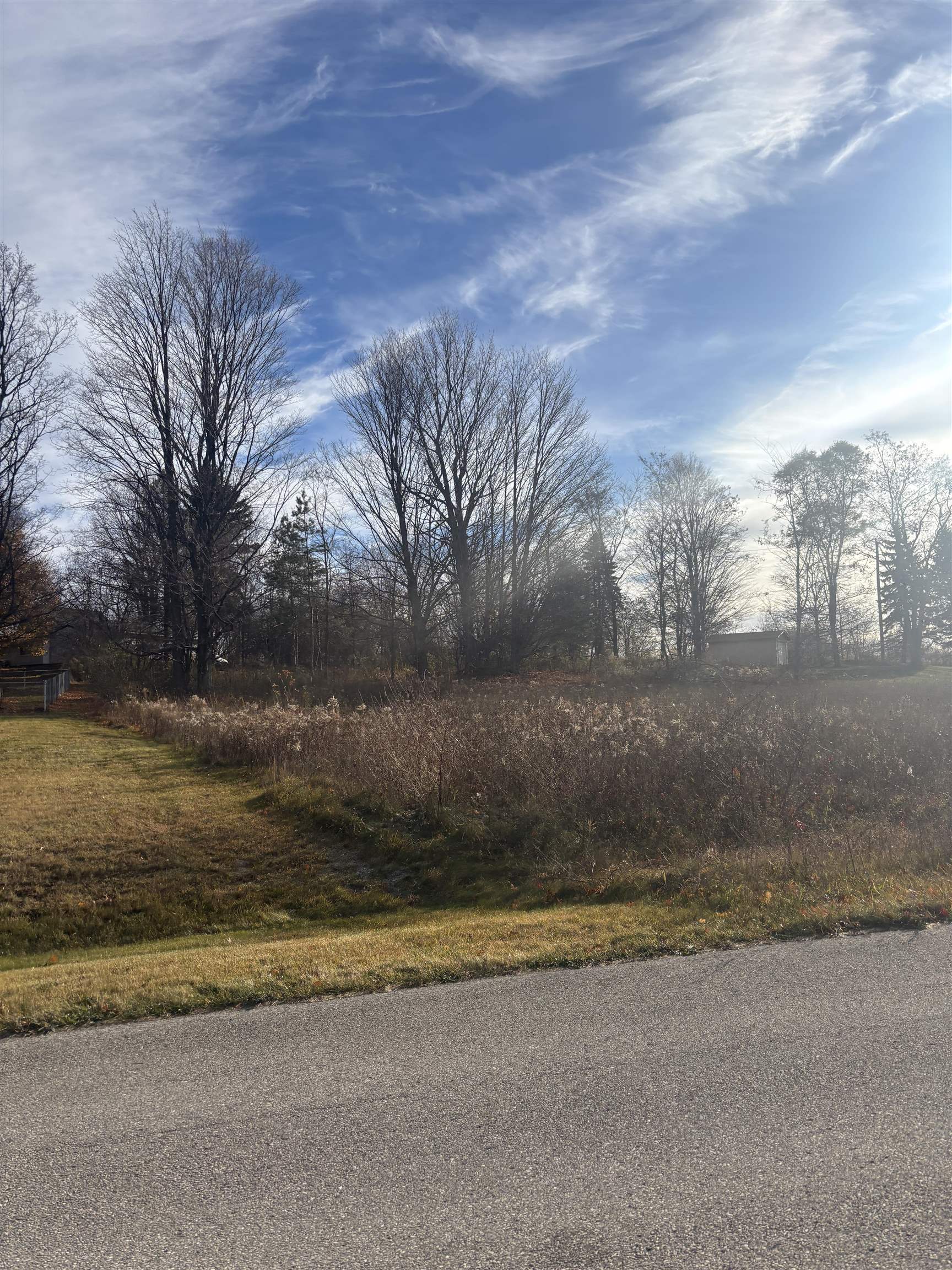 8641 Sun Bay Court Acme Township MI 49690