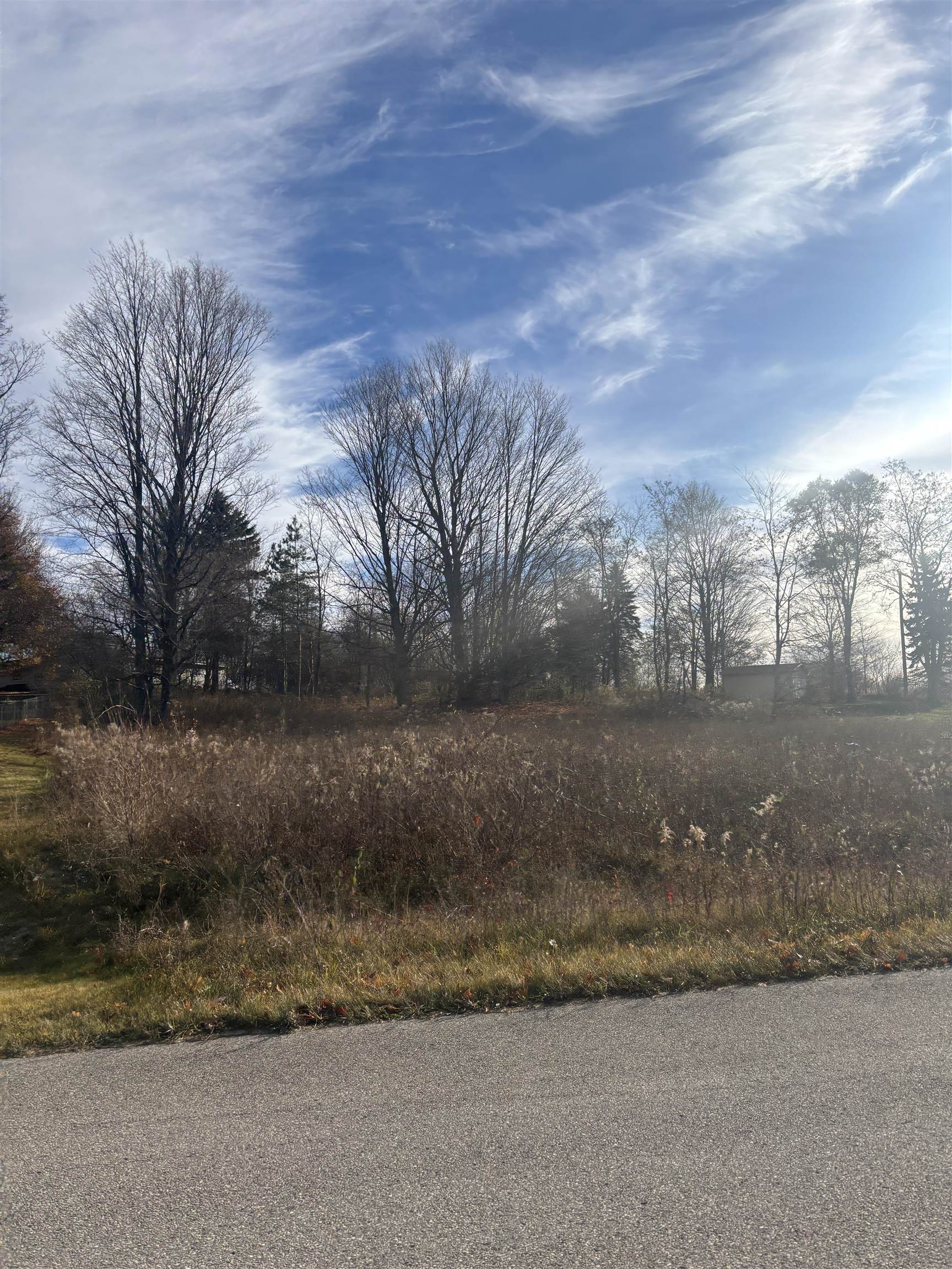 8641 Sun Bay Court Acme Township MI 49690