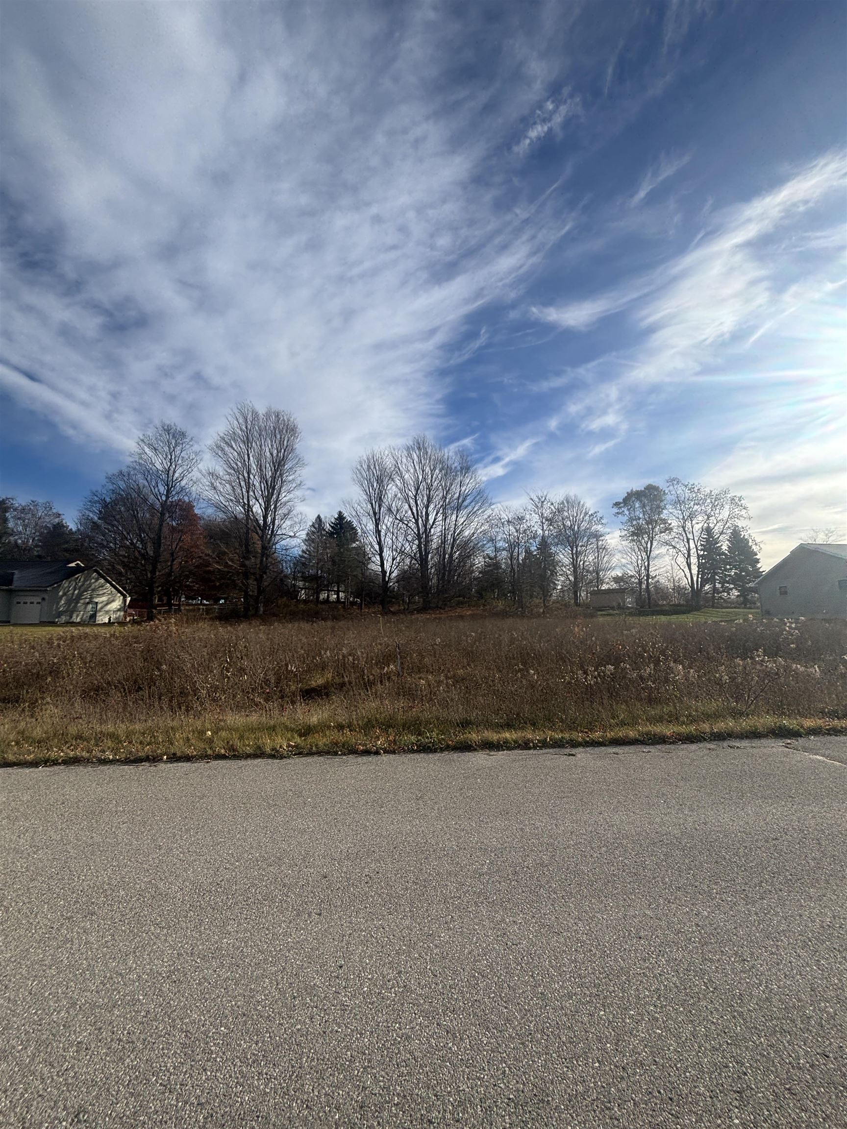 8641 Sun Bay Court Acme Township MI 49690