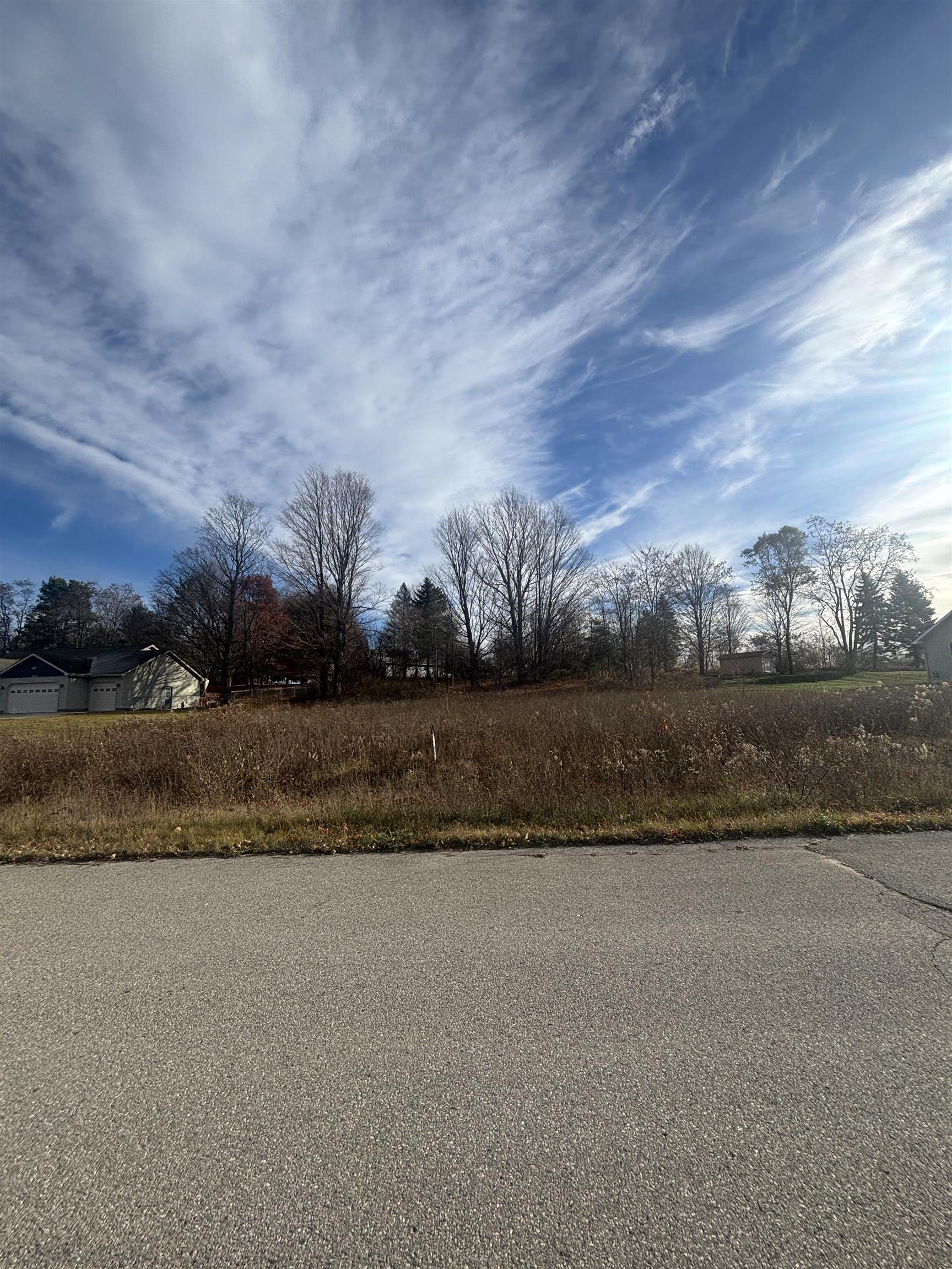 8641 Sun Bay Court Acme Township MI 49690