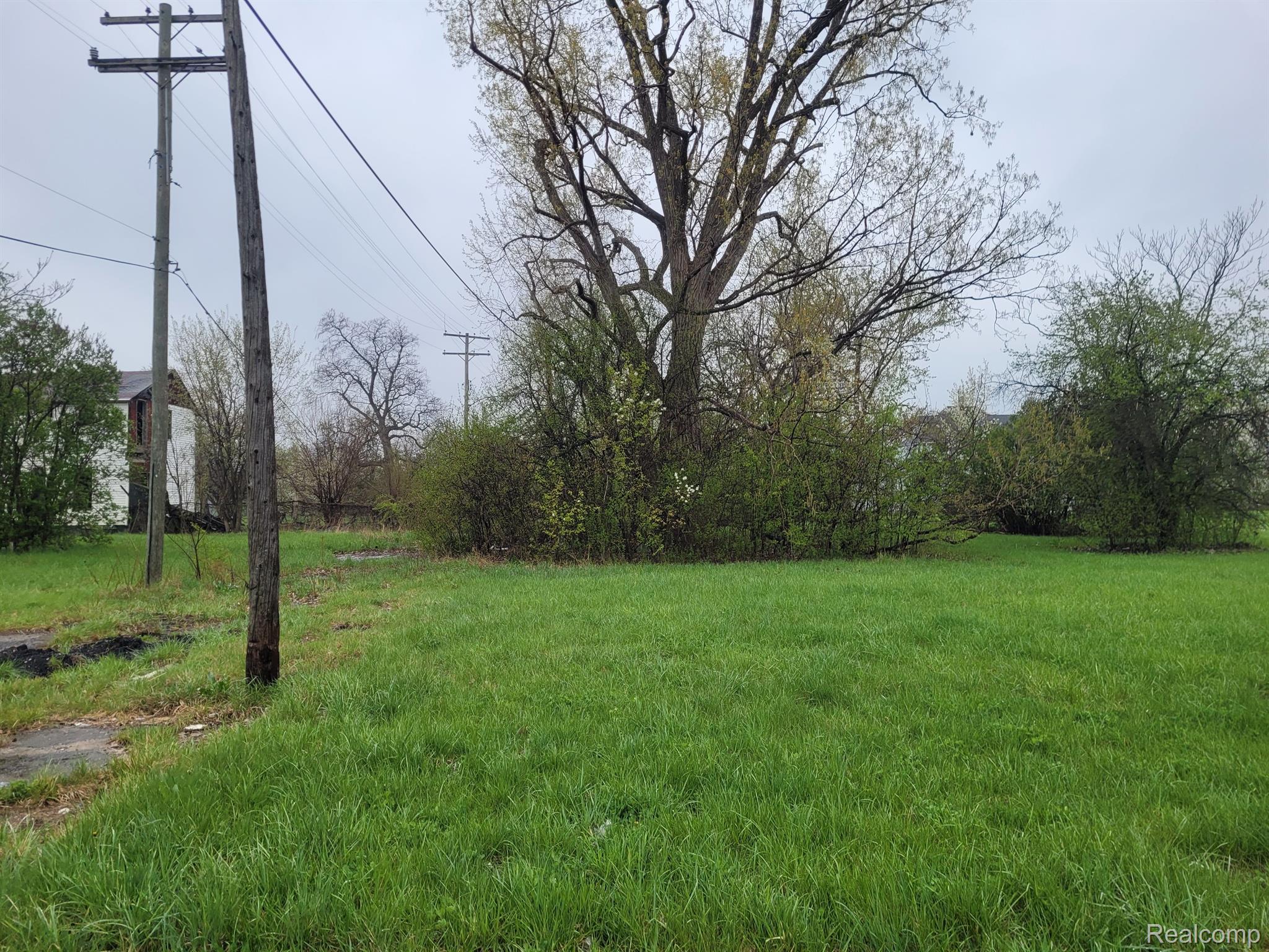 2427 Ash Street Detroit City MI 48208