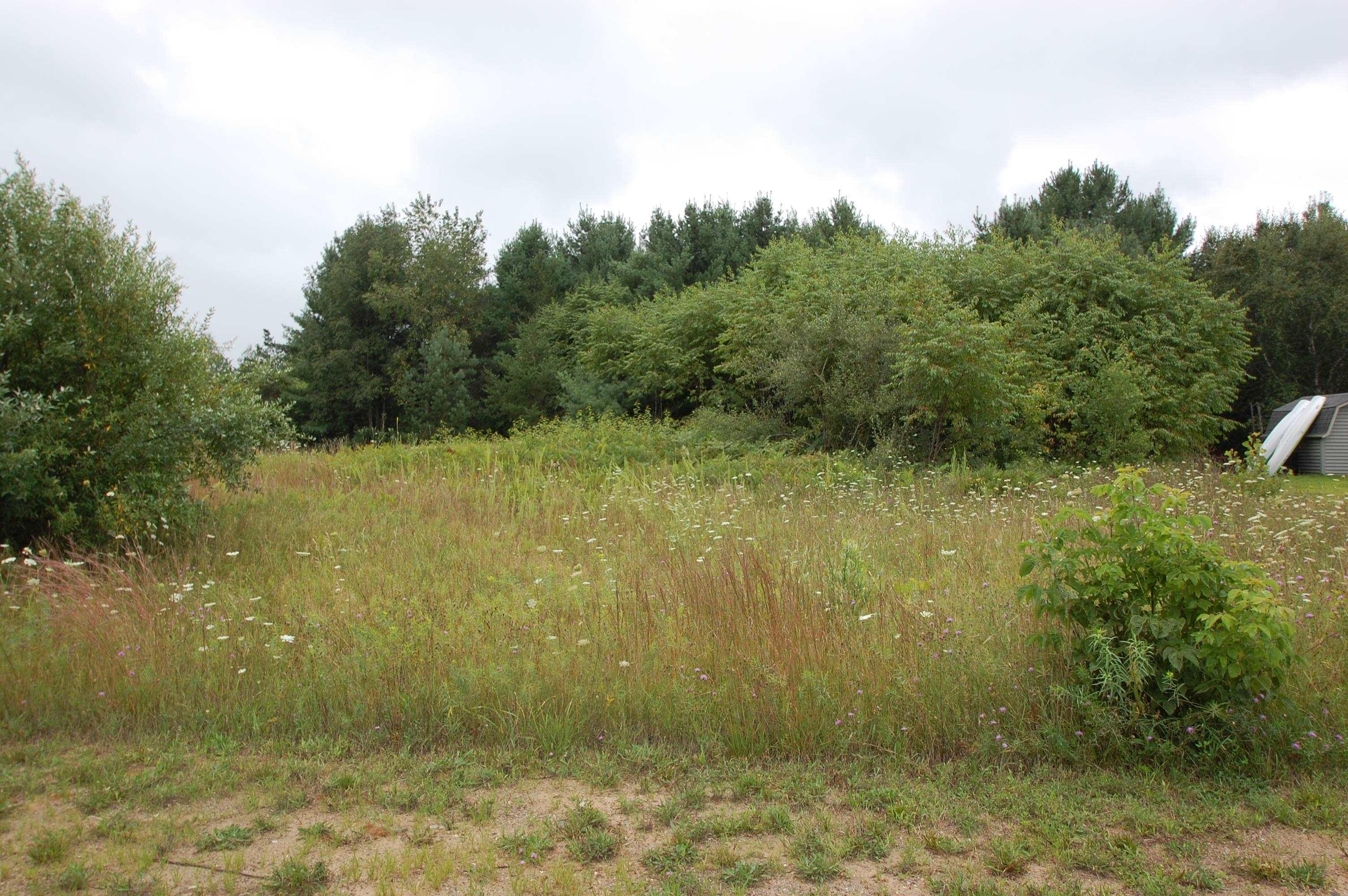 0 Arthur Court West Branch Township MI 48661
