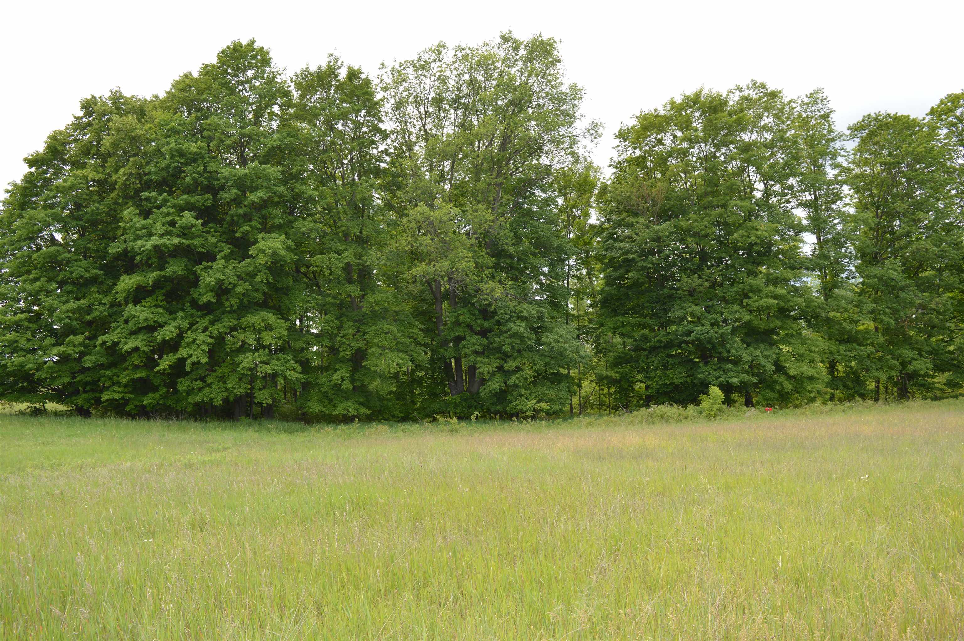 L Summit City Road Paradise Township MI 49649
