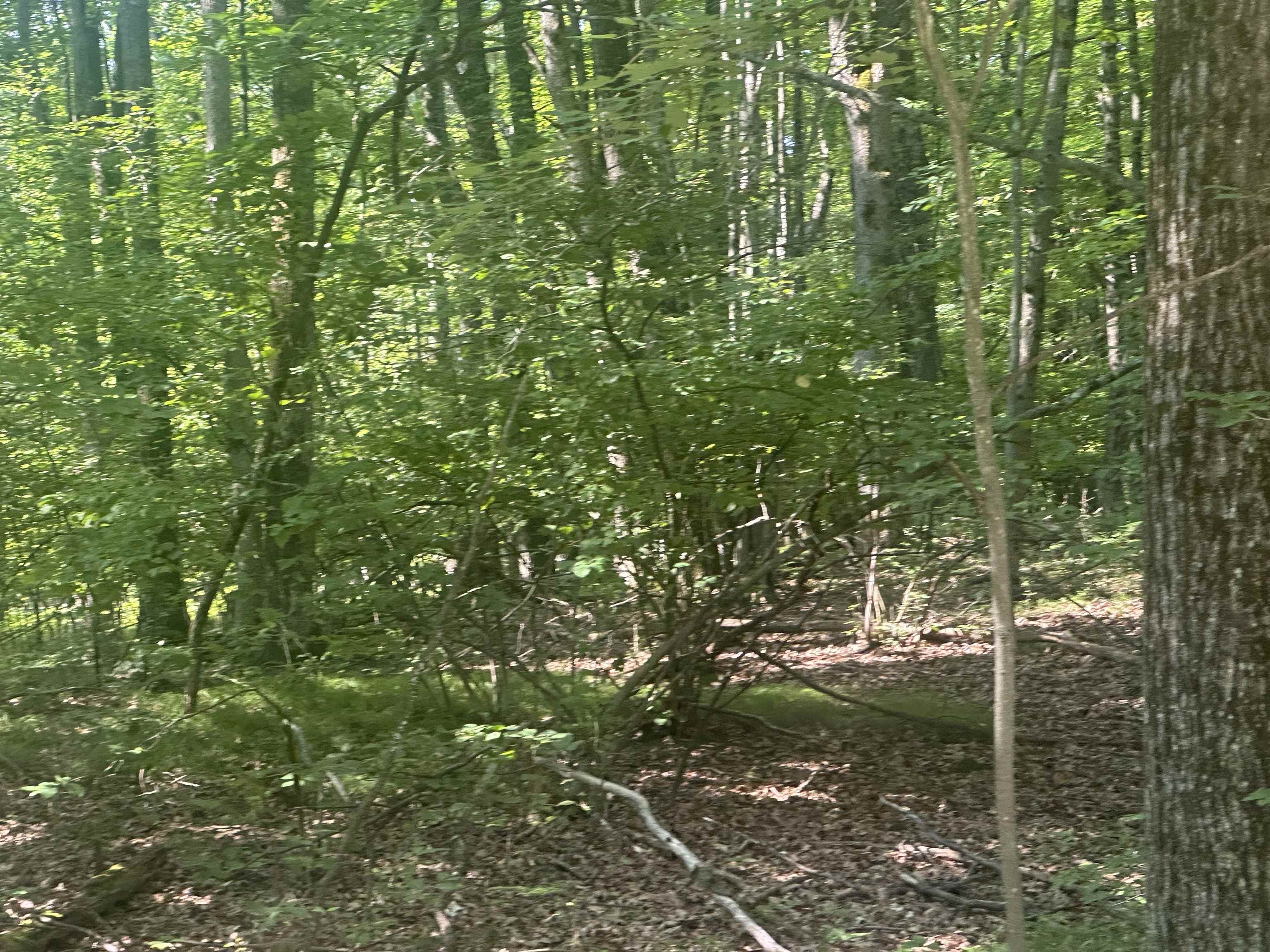 Lot # 179 Mockingbird Circle Lincoln Township MI 48622