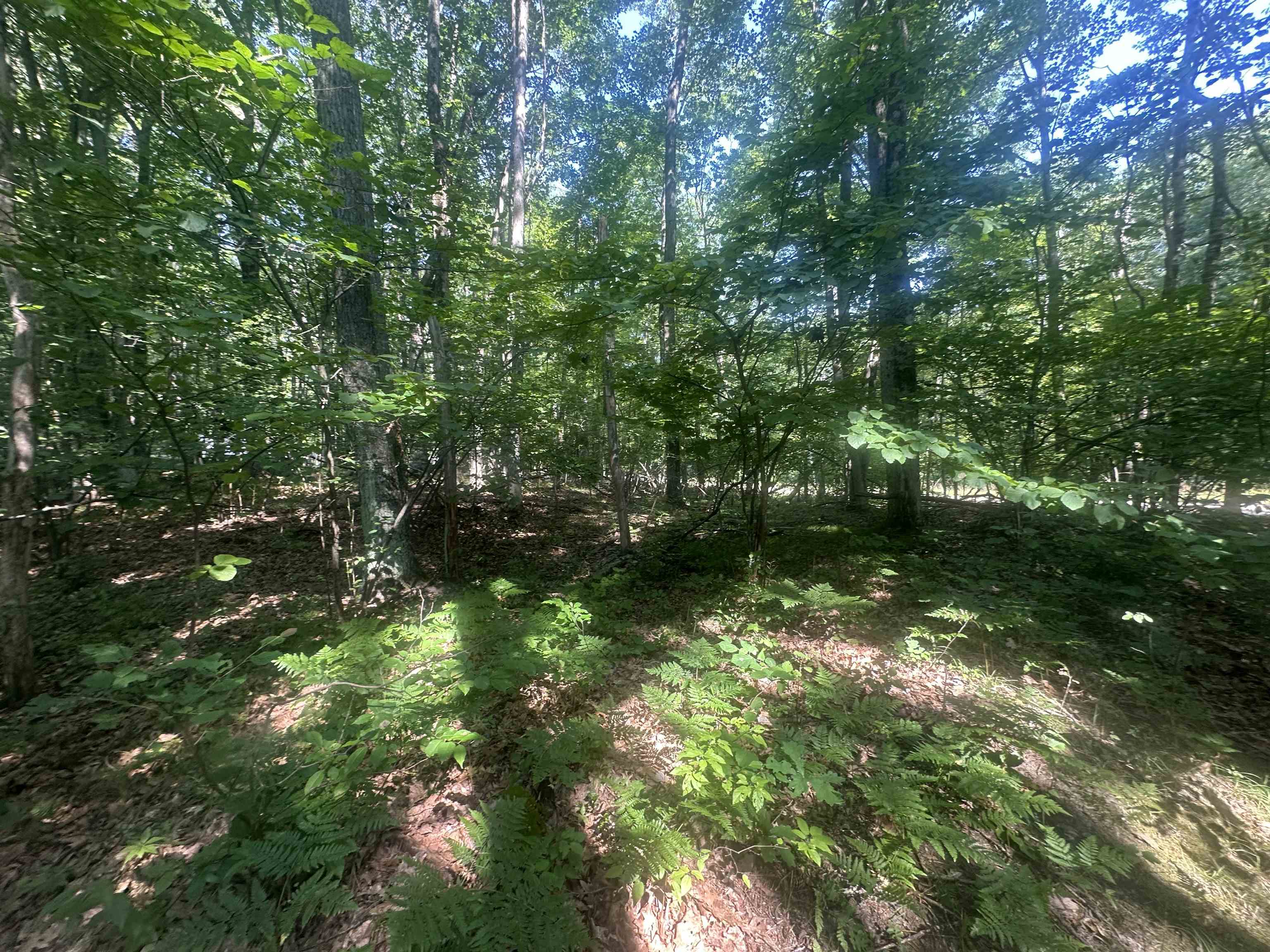 Lot # 179 Mockingbird Circle Lincoln Township MI 48622