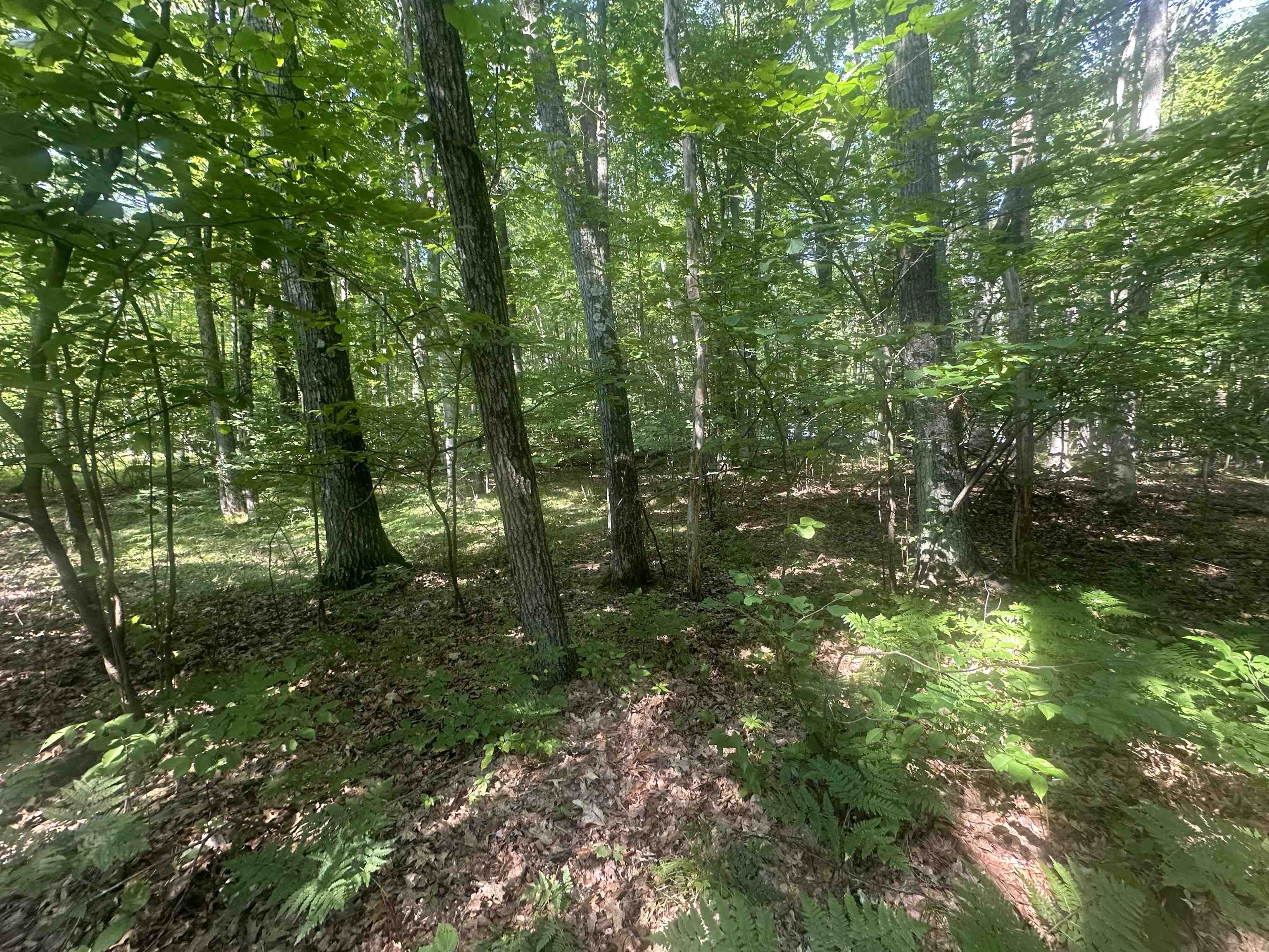 Lot # 179 Mockingbird Circle Lincoln Township MI 48622