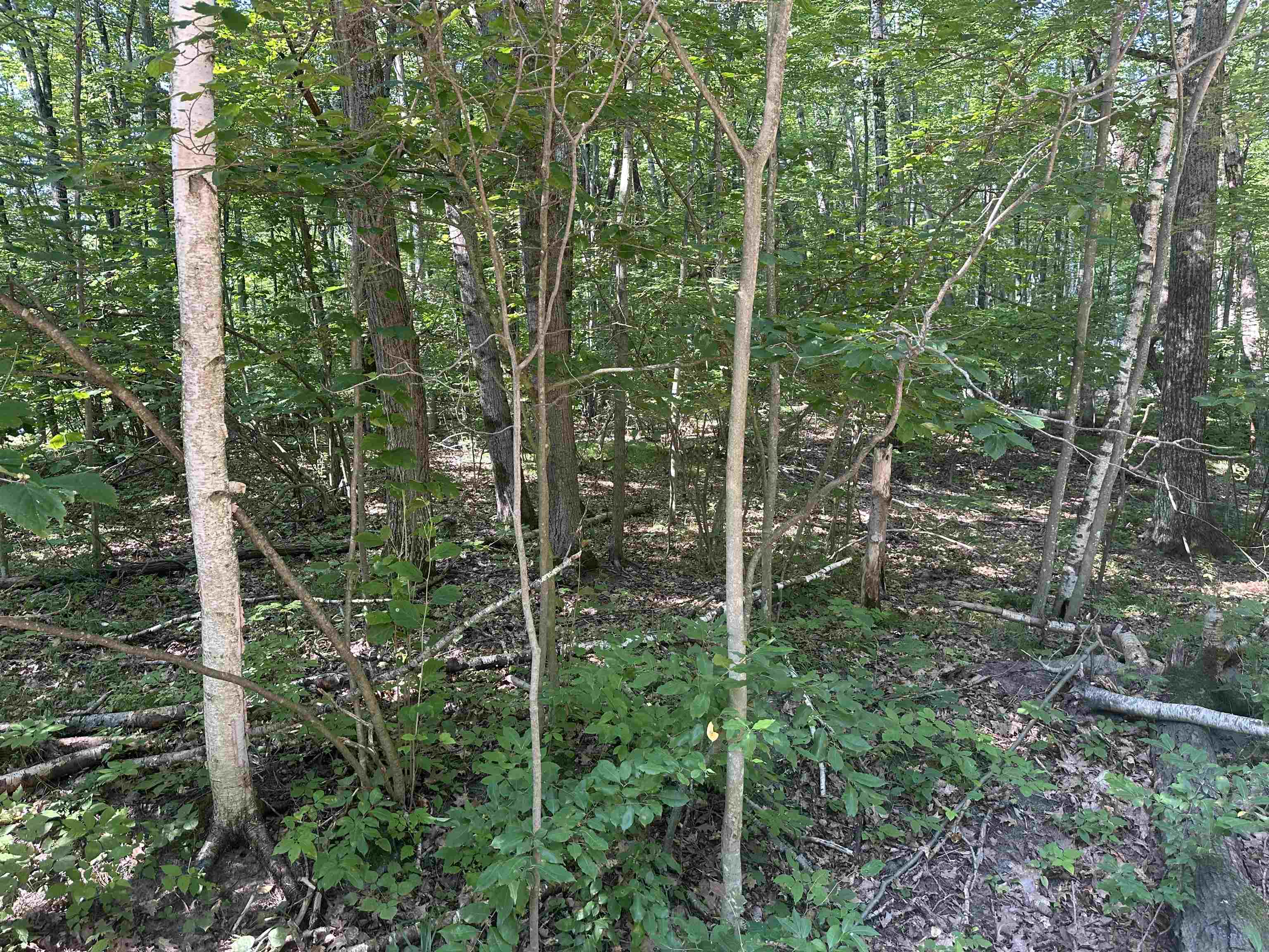Lot # 179 Mockingbird Circle Lincoln Township MI 48622