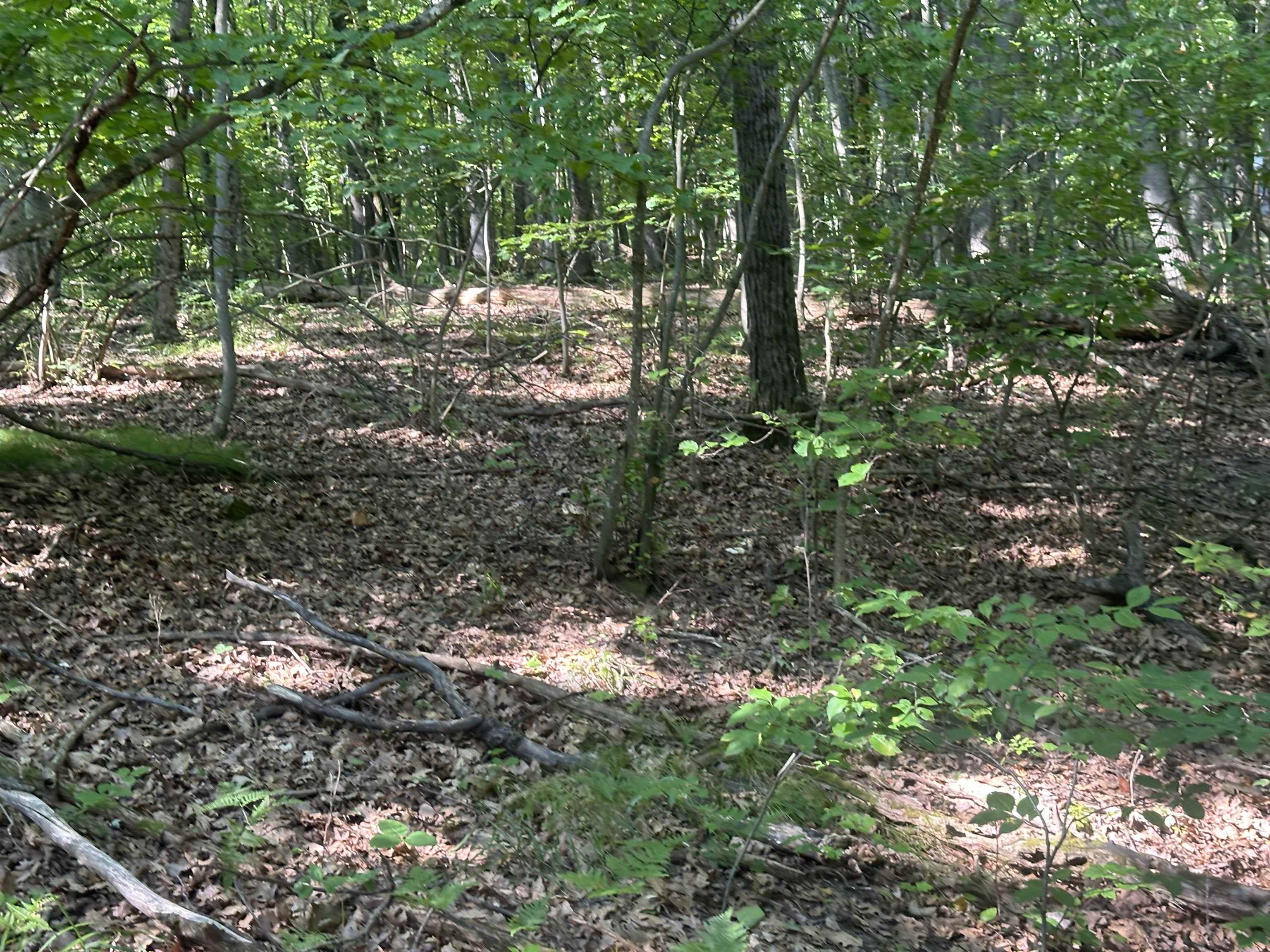 Lot # 179 Mockingbird Circle Lincoln Township MI 48622