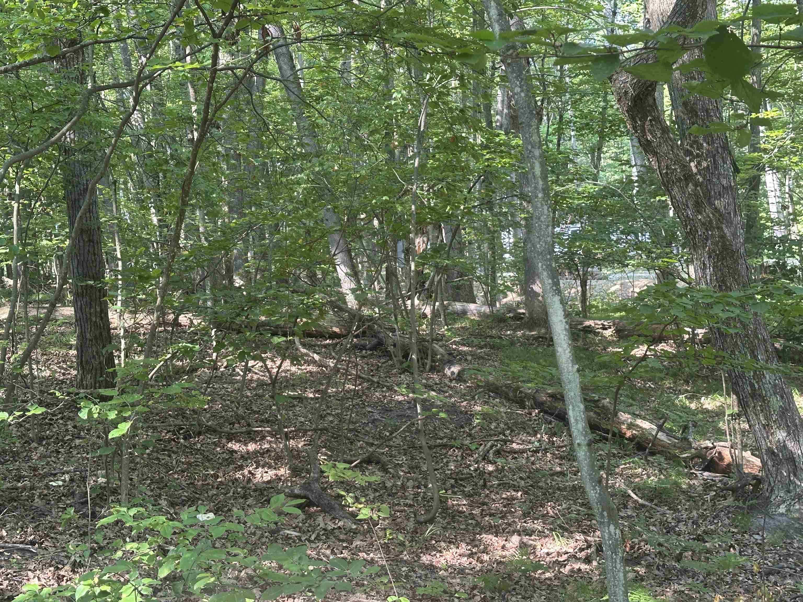 Lot # 179 Mockingbird Circle Lincoln Township MI 48622