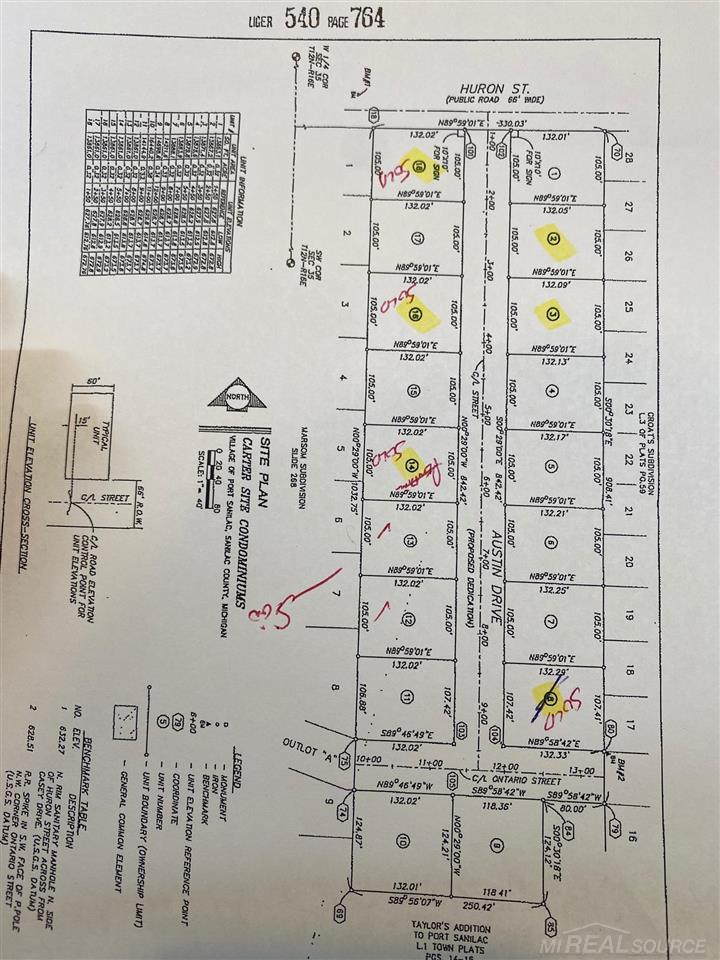 #12 Austin Drive Sanilac Township MI 48469