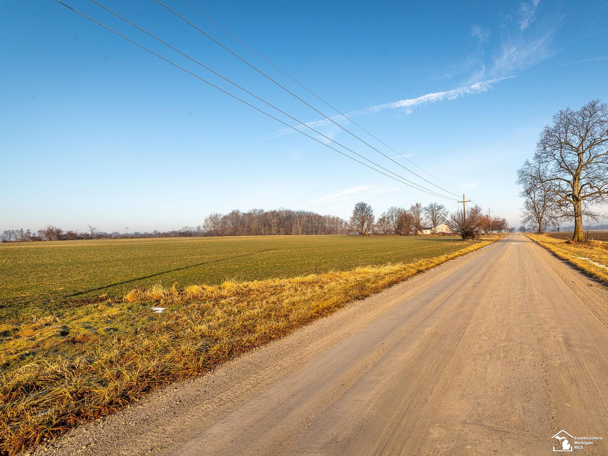 00 Wells Road Milan Township MI 48110