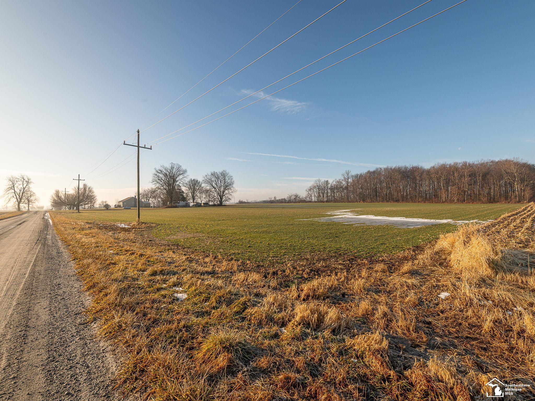 00 Wells Road Milan Township MI 48110