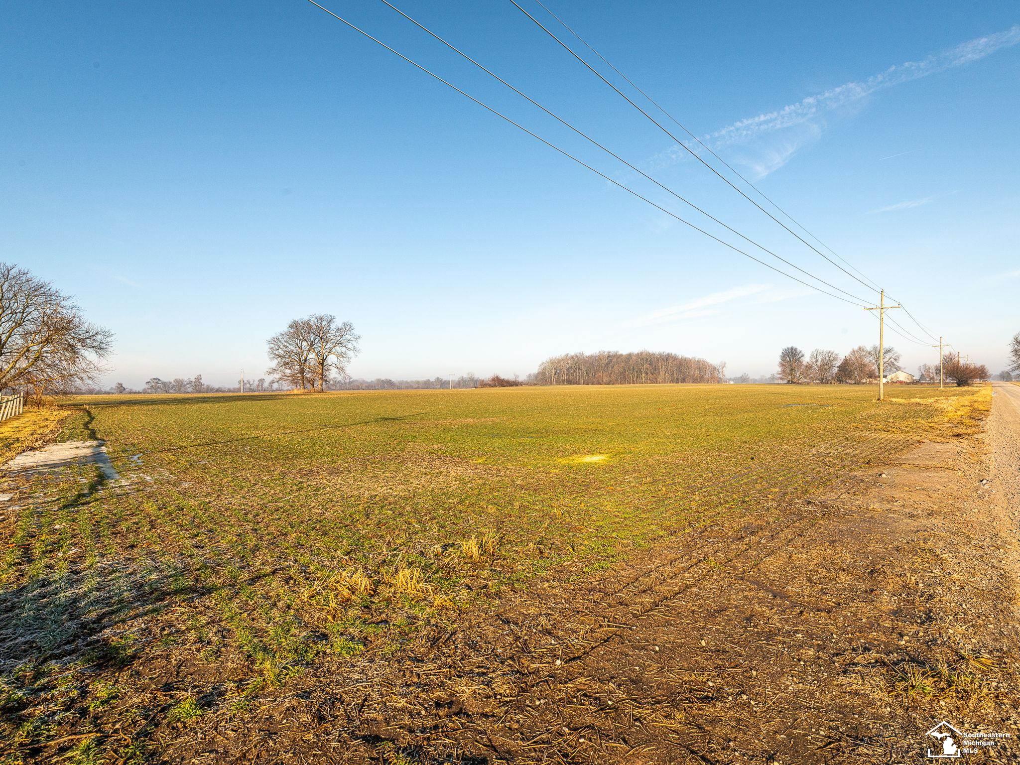 00 Wells Road Milan Township MI 48110