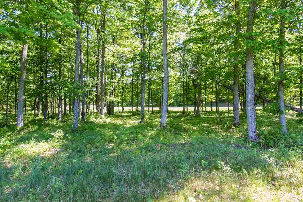 003 Heather Ridge Trail Homestead Township MI 49617