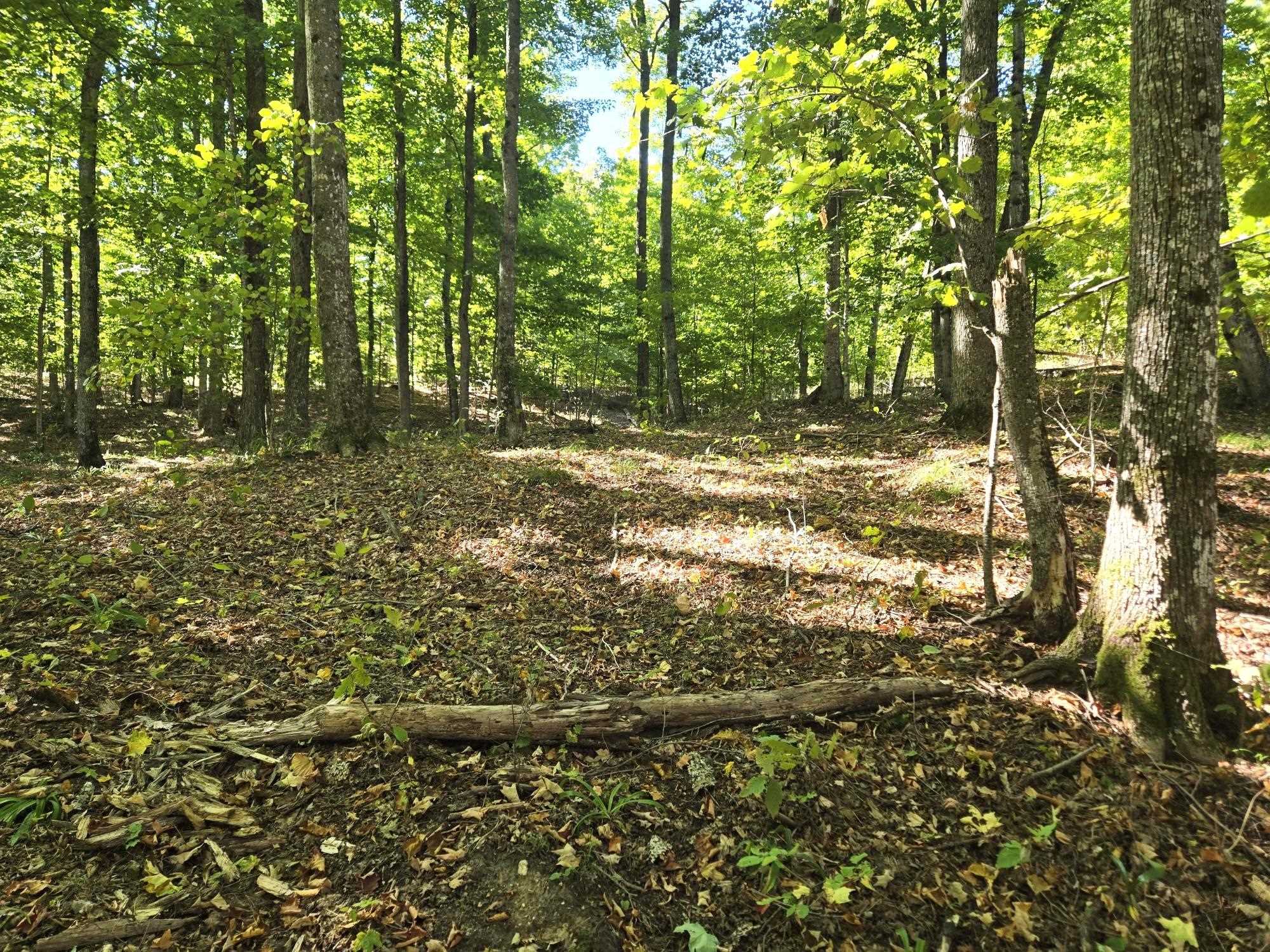 003 Heather Ridge Trail Homestead Township MI 49617