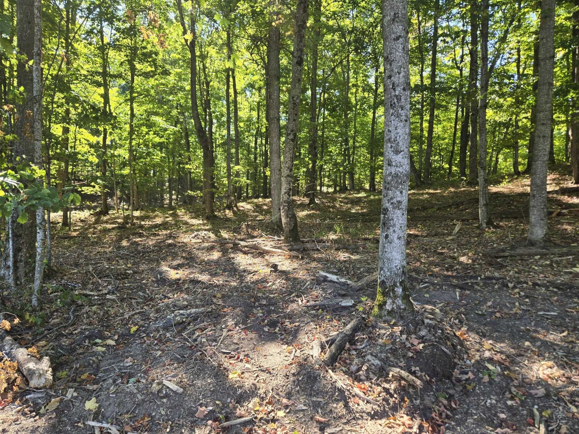 003 Heather Ridge Trail Homestead Township MI 49617